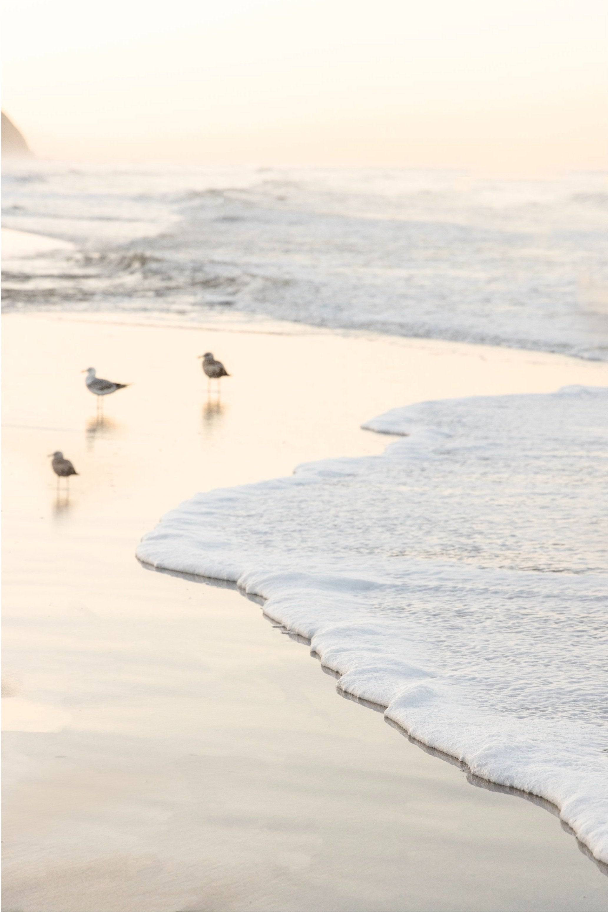 Three Little Birds