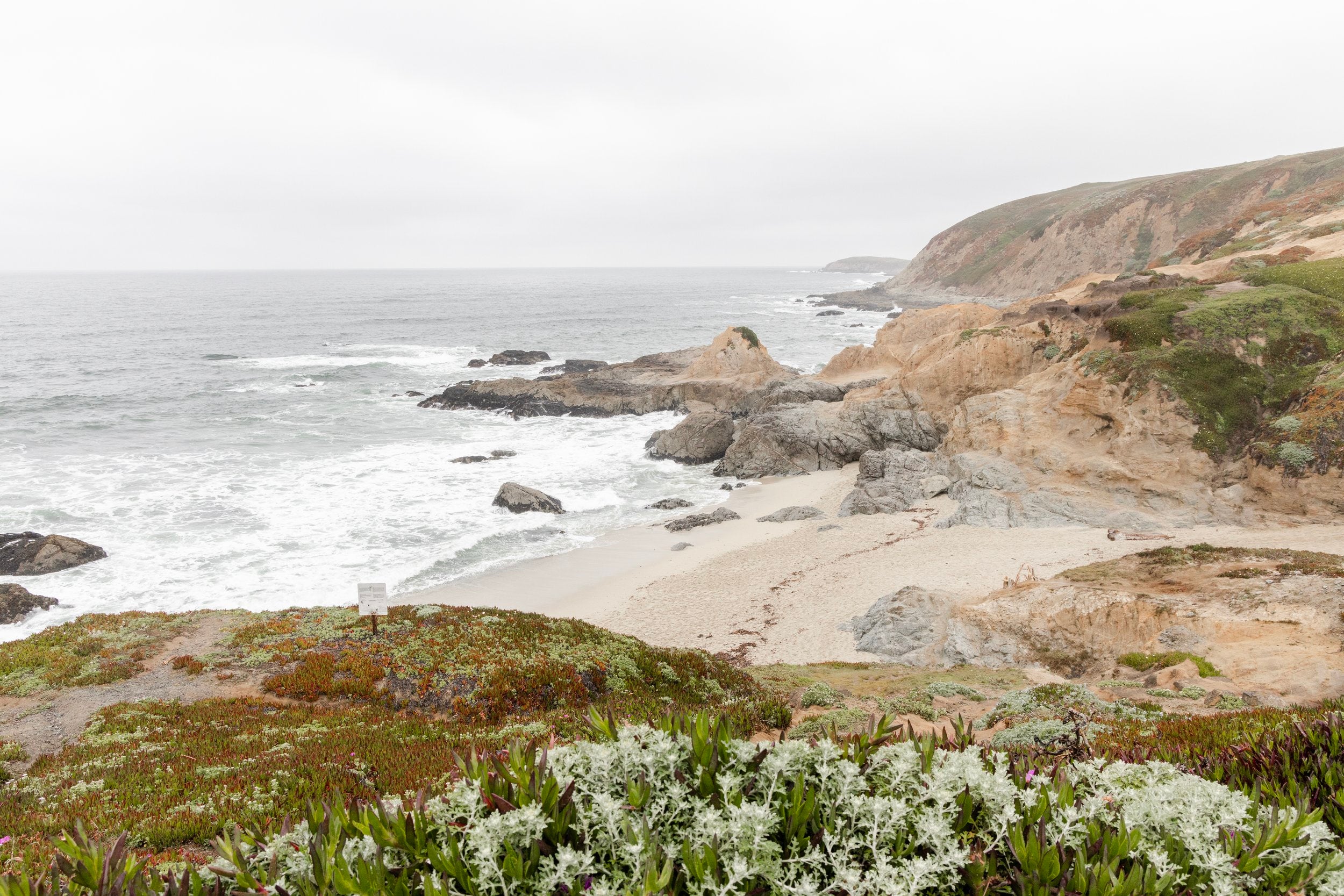 Bodega Bay Trailhead