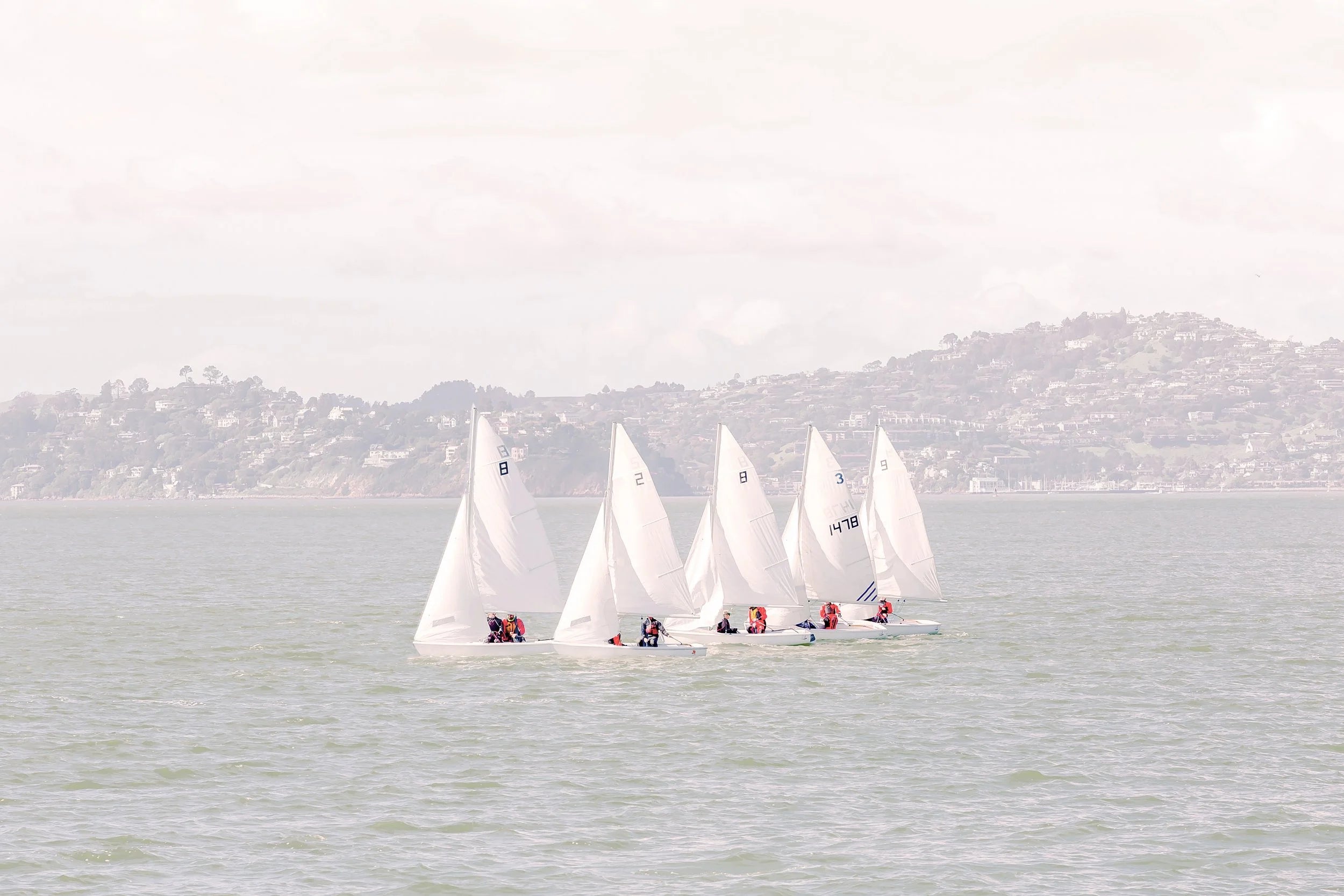 5 Sails
