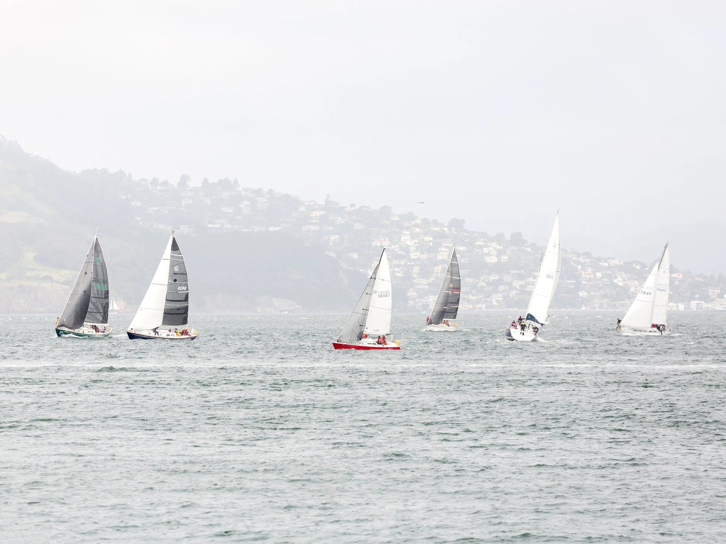 Sailing Day