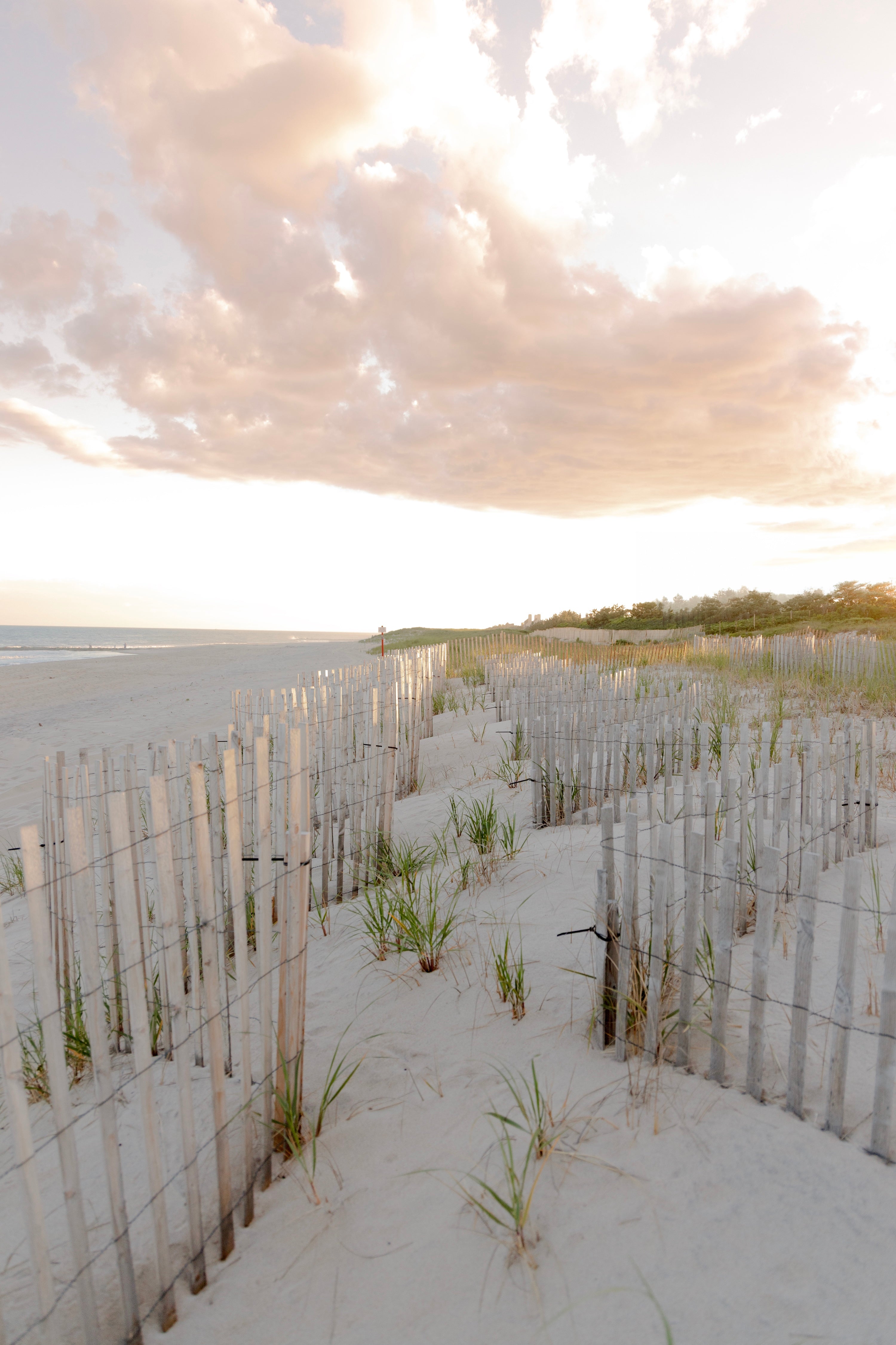 Along The Dunes