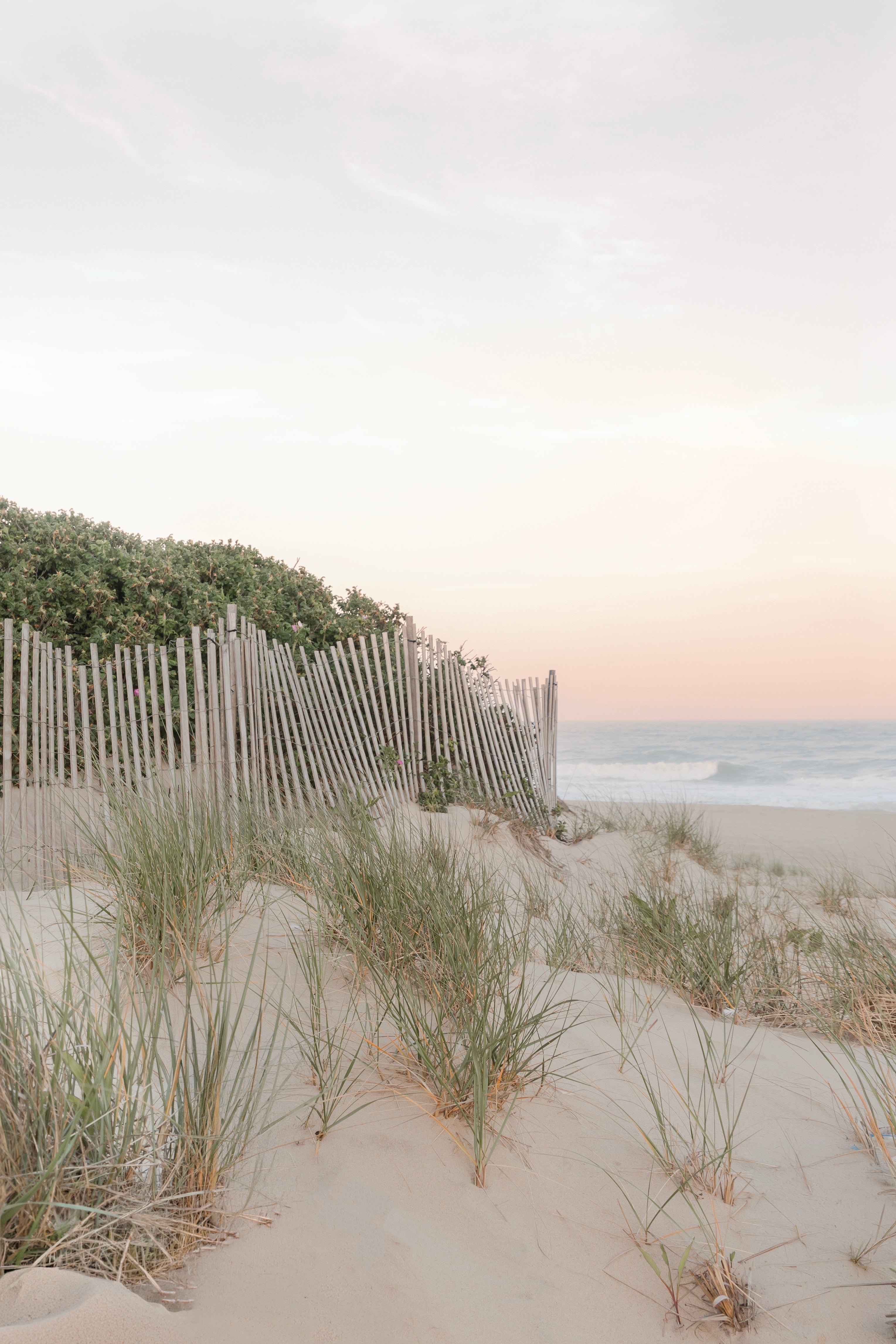 Barefoot Beach
