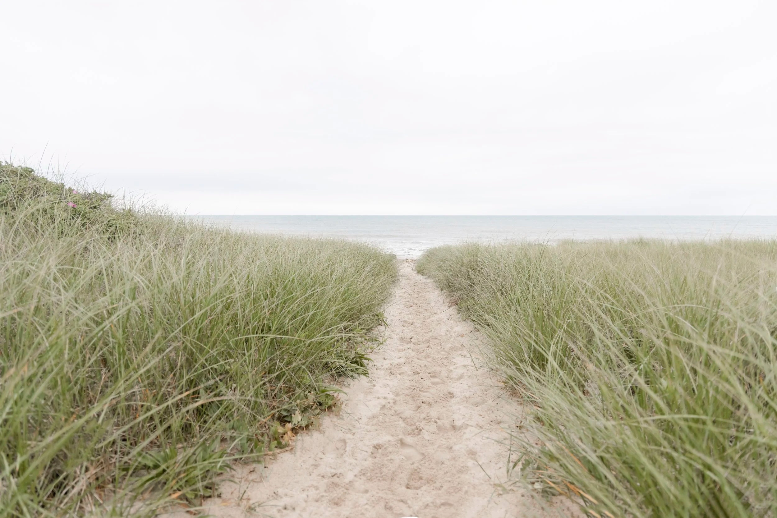 Path of Purpose