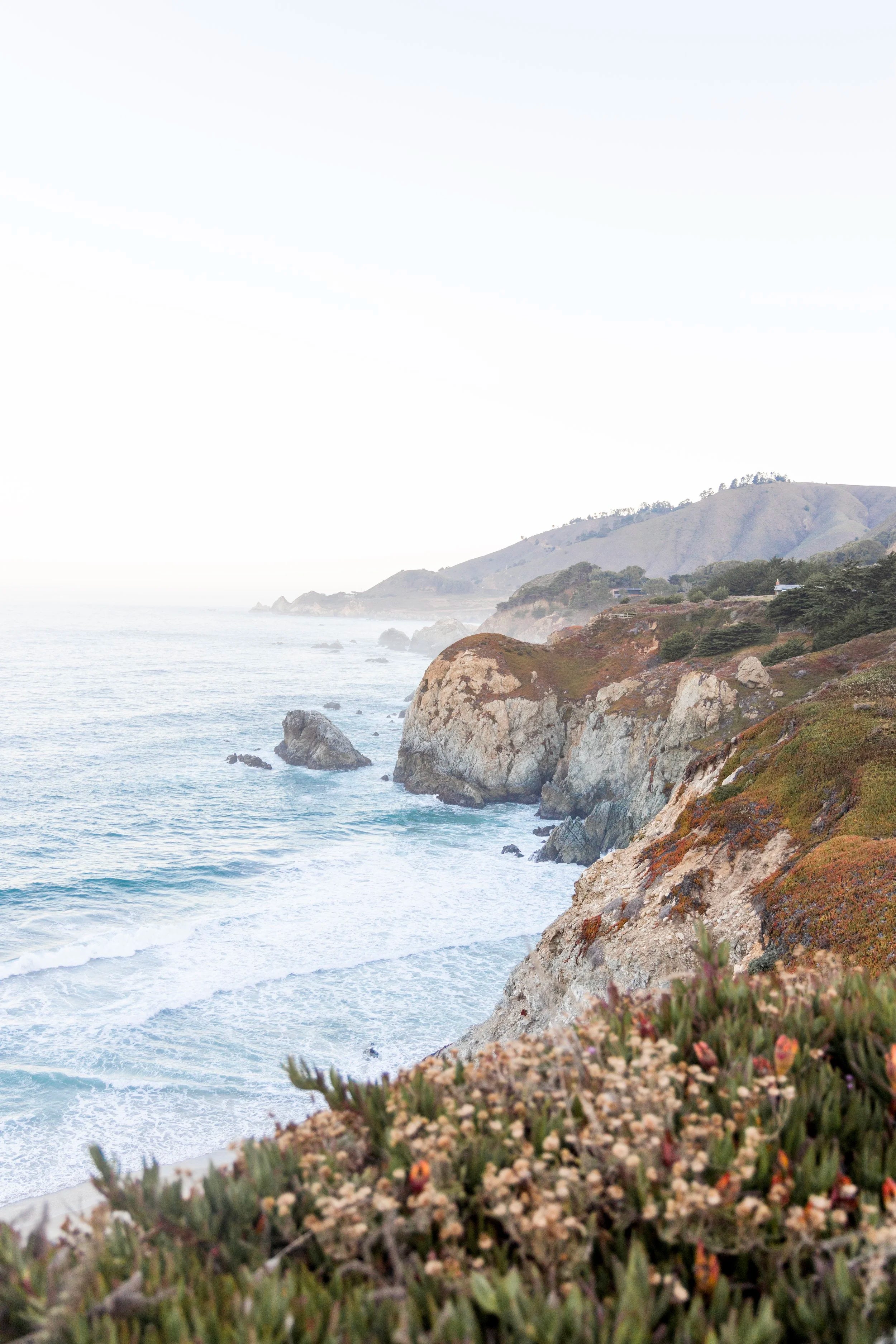 Big Sur Vista