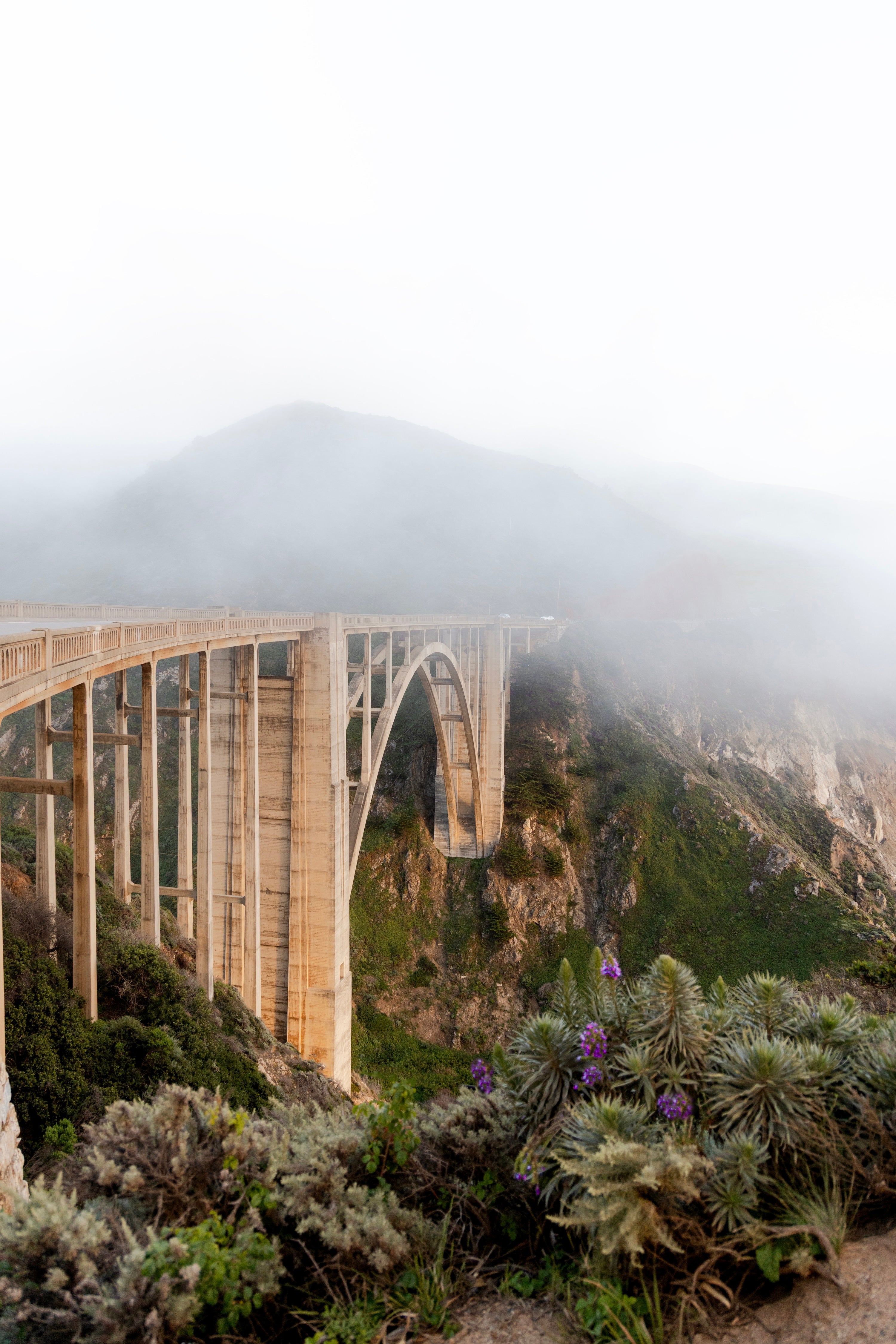 Big Sur Light