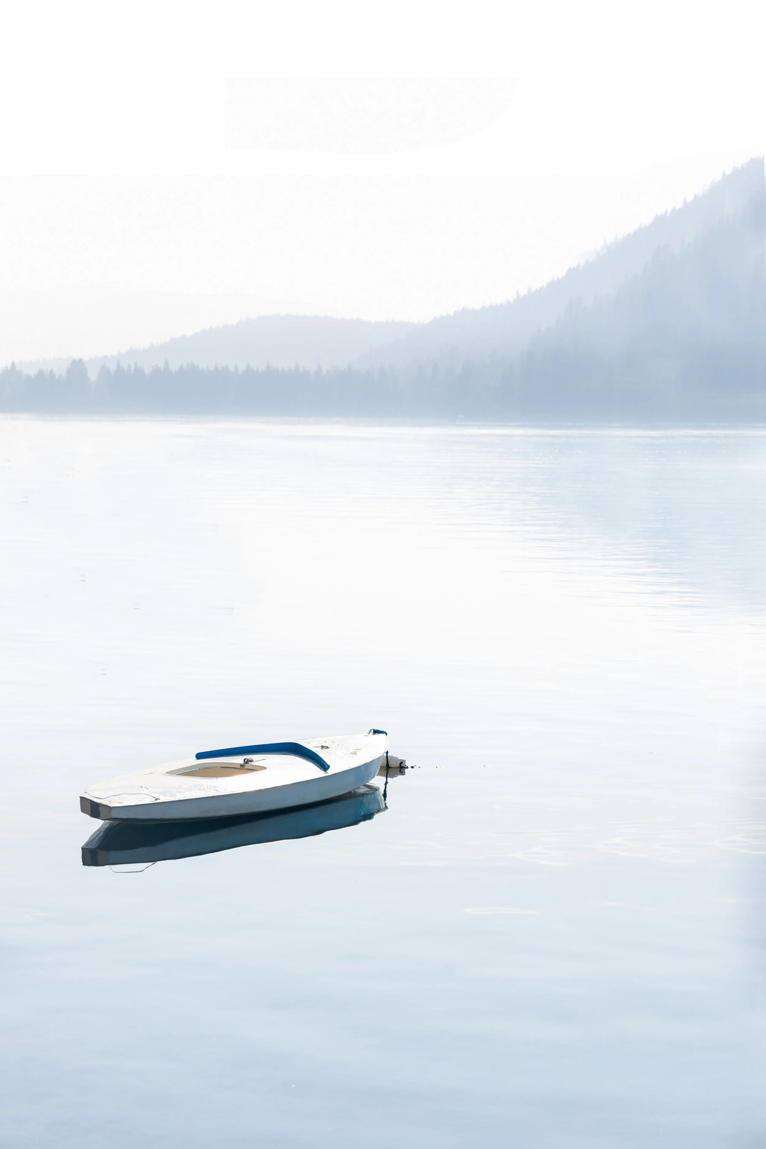 Blue Morning
