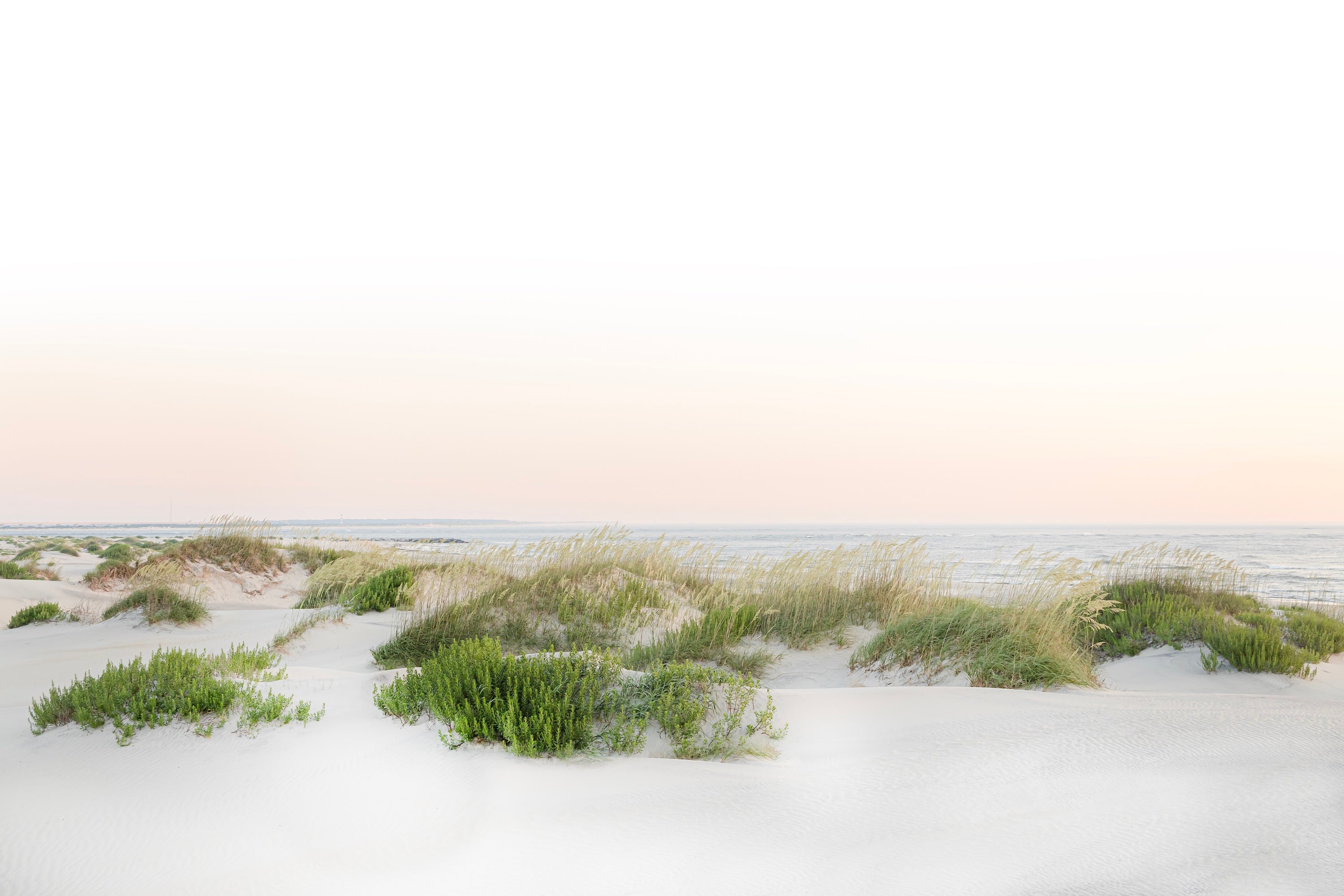 Blush Over The Dunes