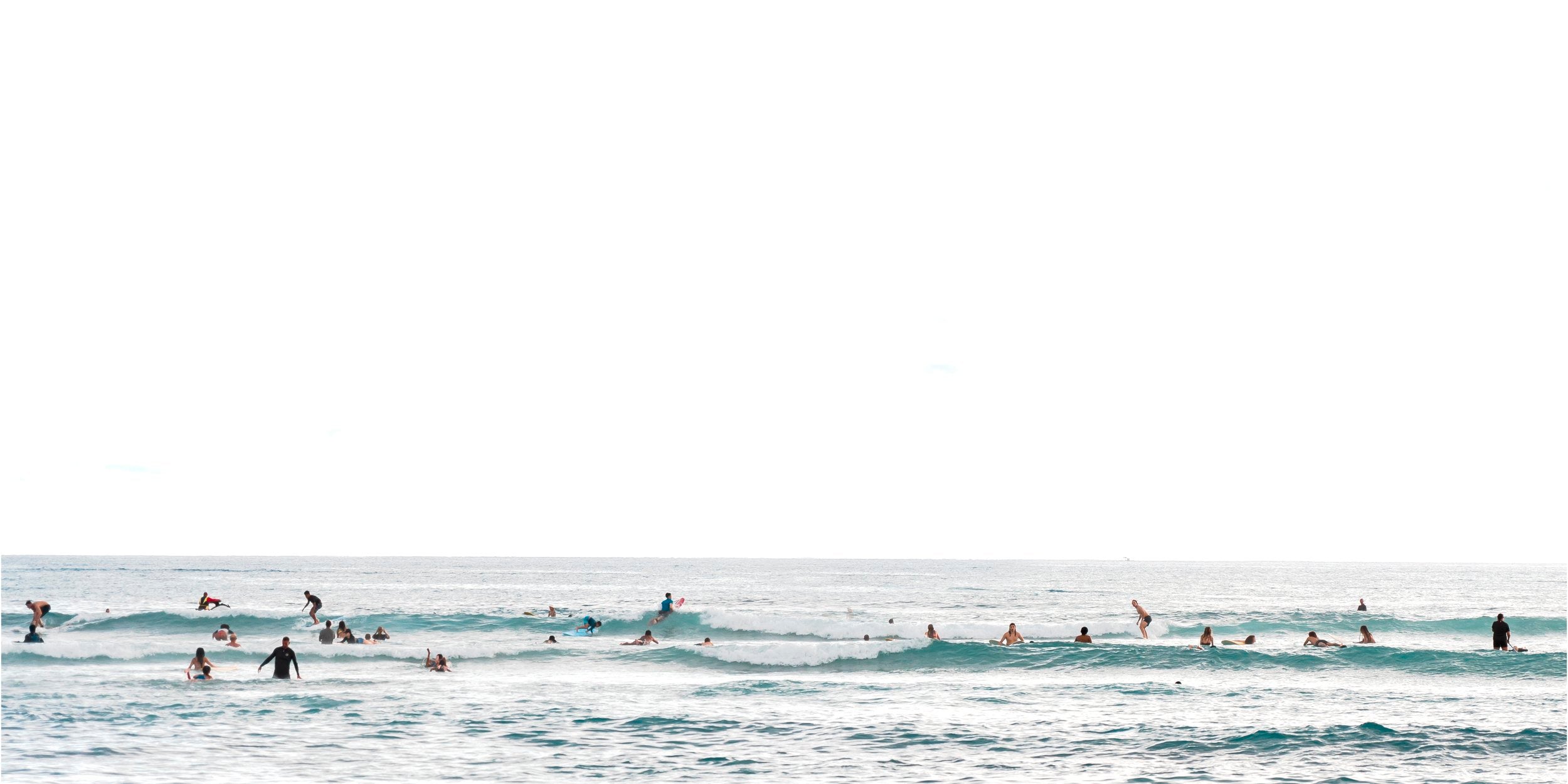 Born To Surf