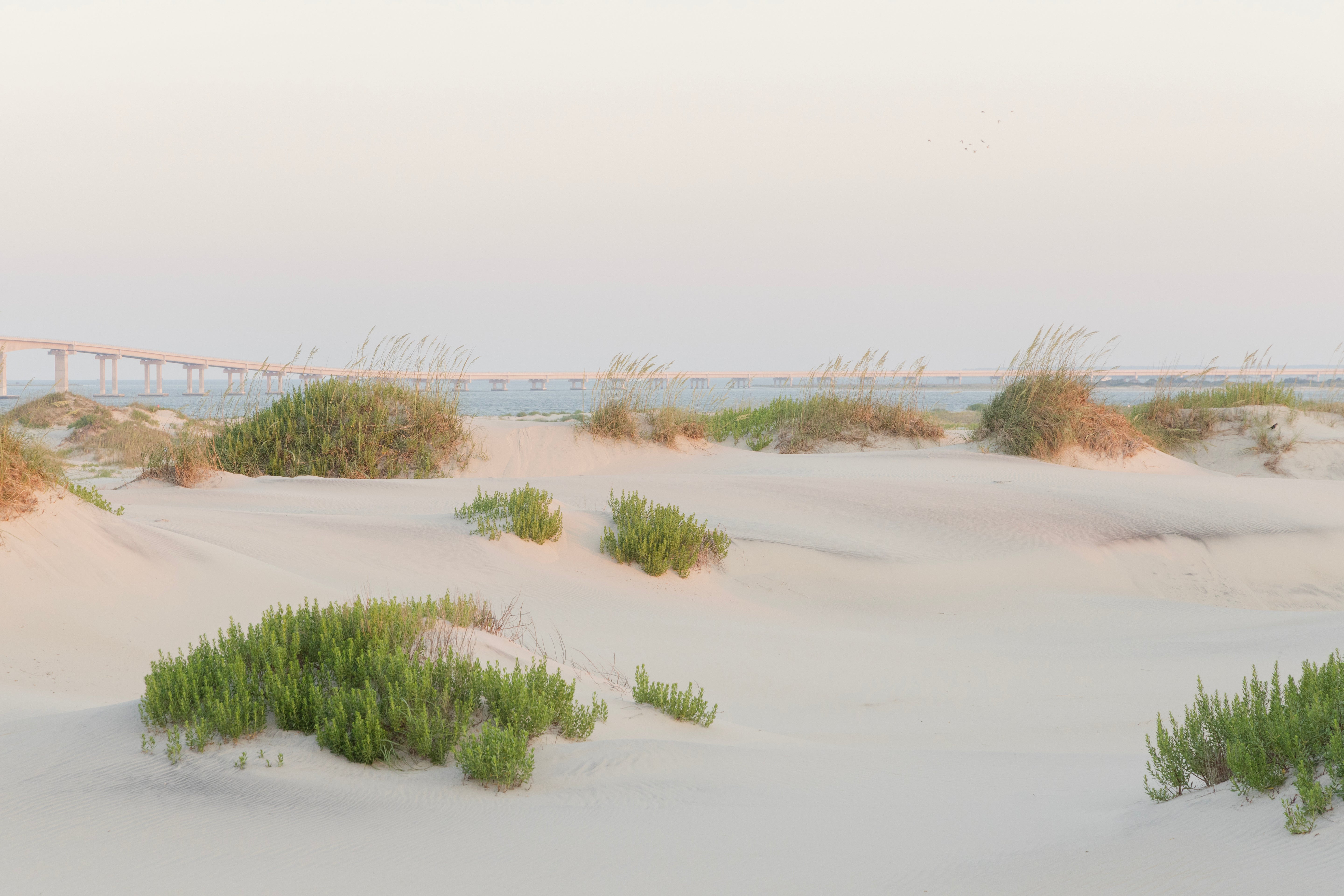 Bridging The Dunes