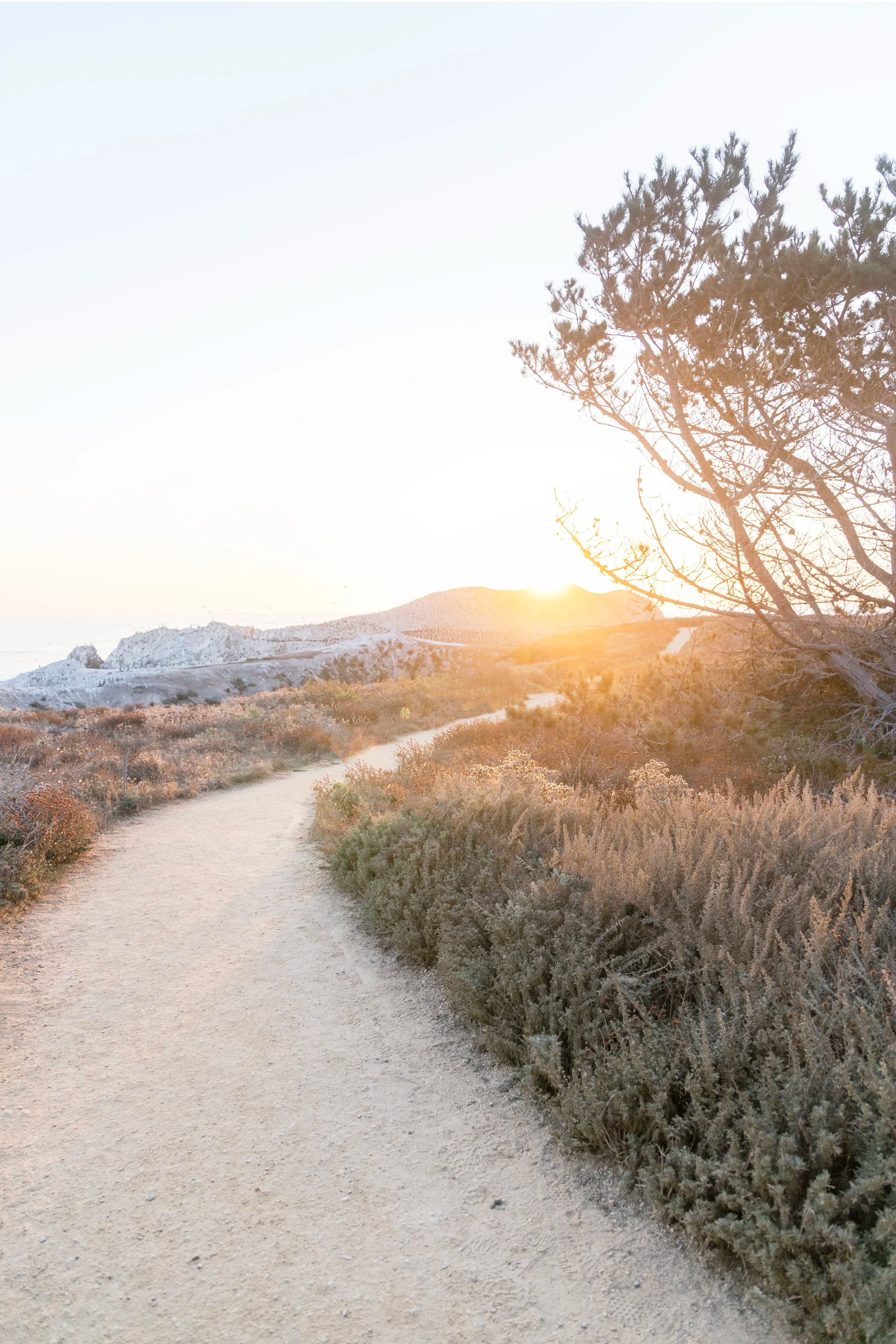Carmel Pathway