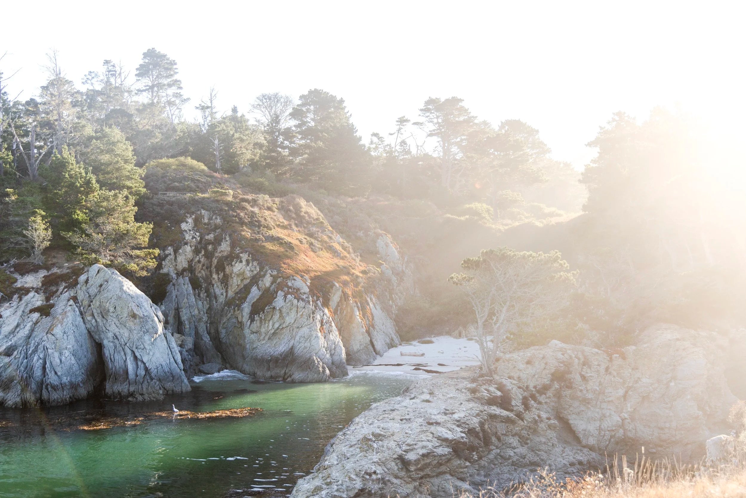 China Cove Carmel