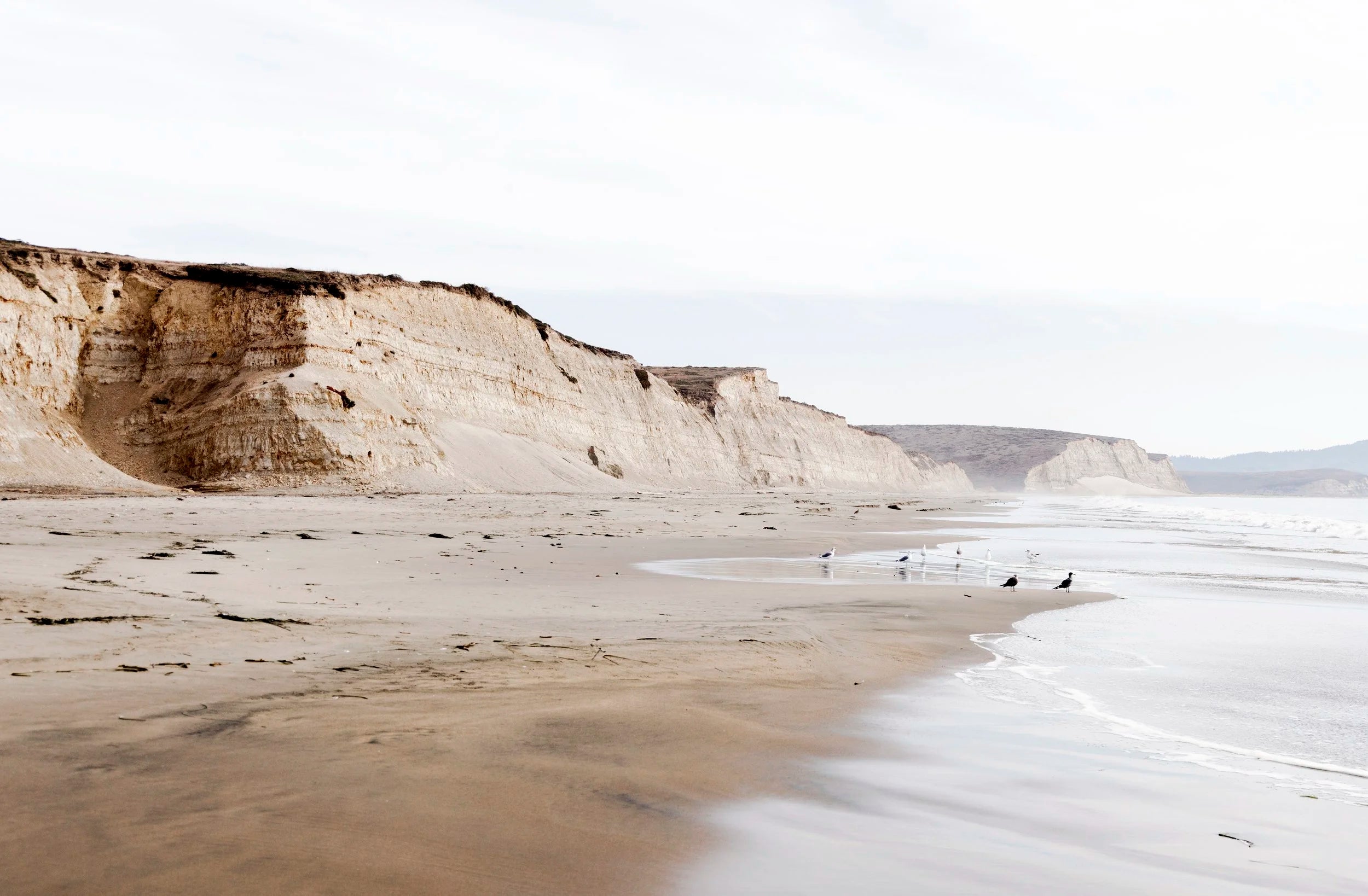 Drakes Beach
