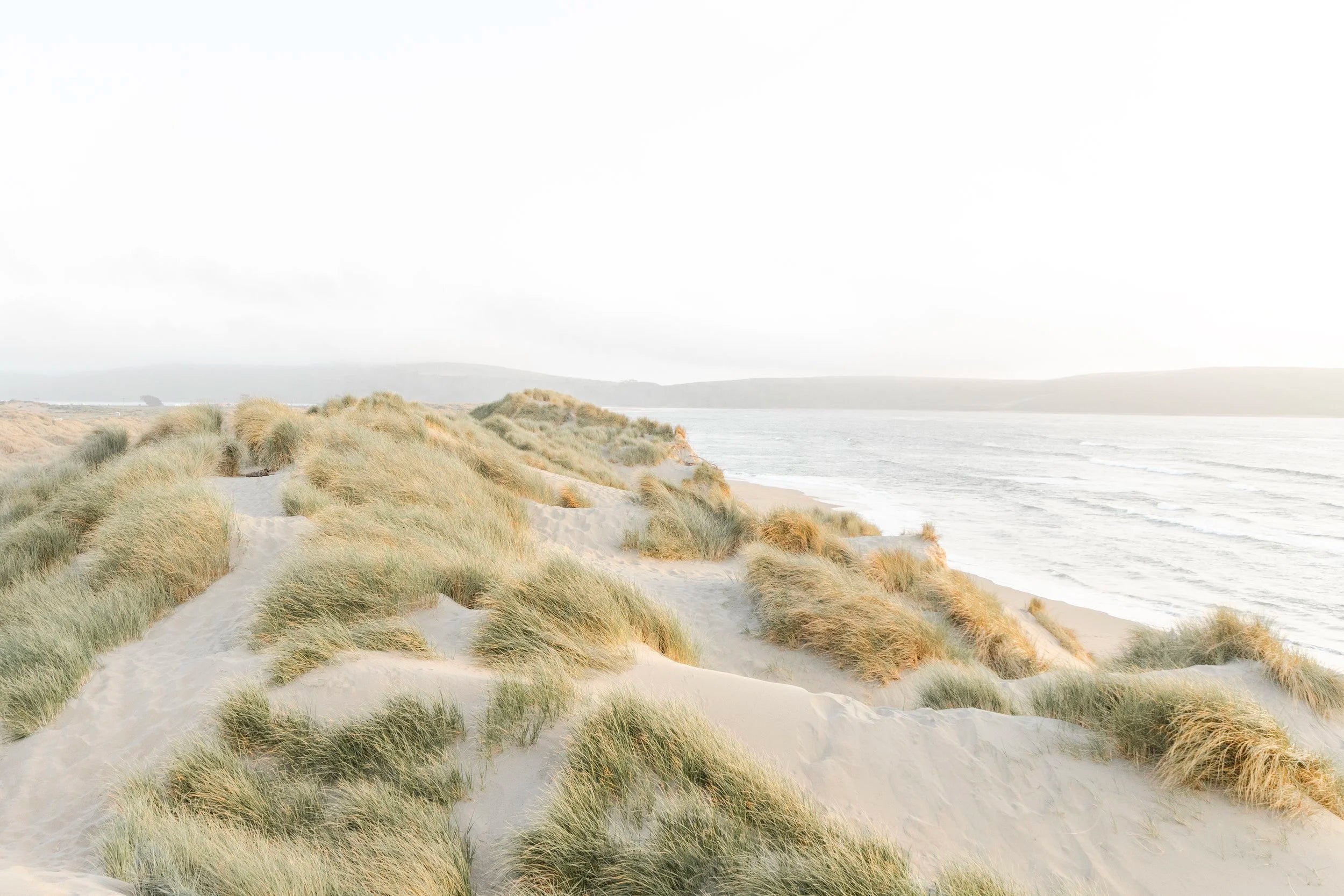 Dune Landscape