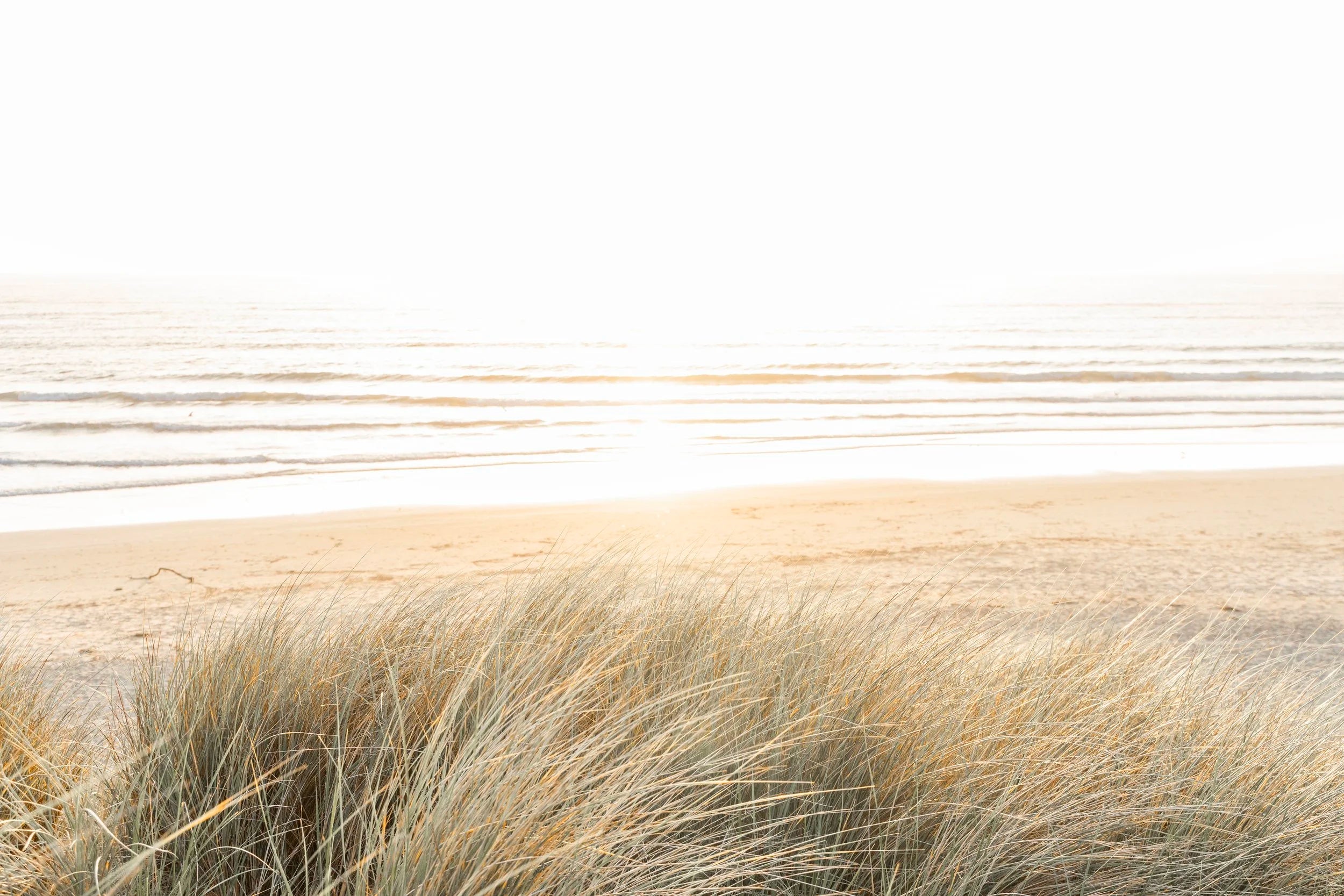 Dune Light