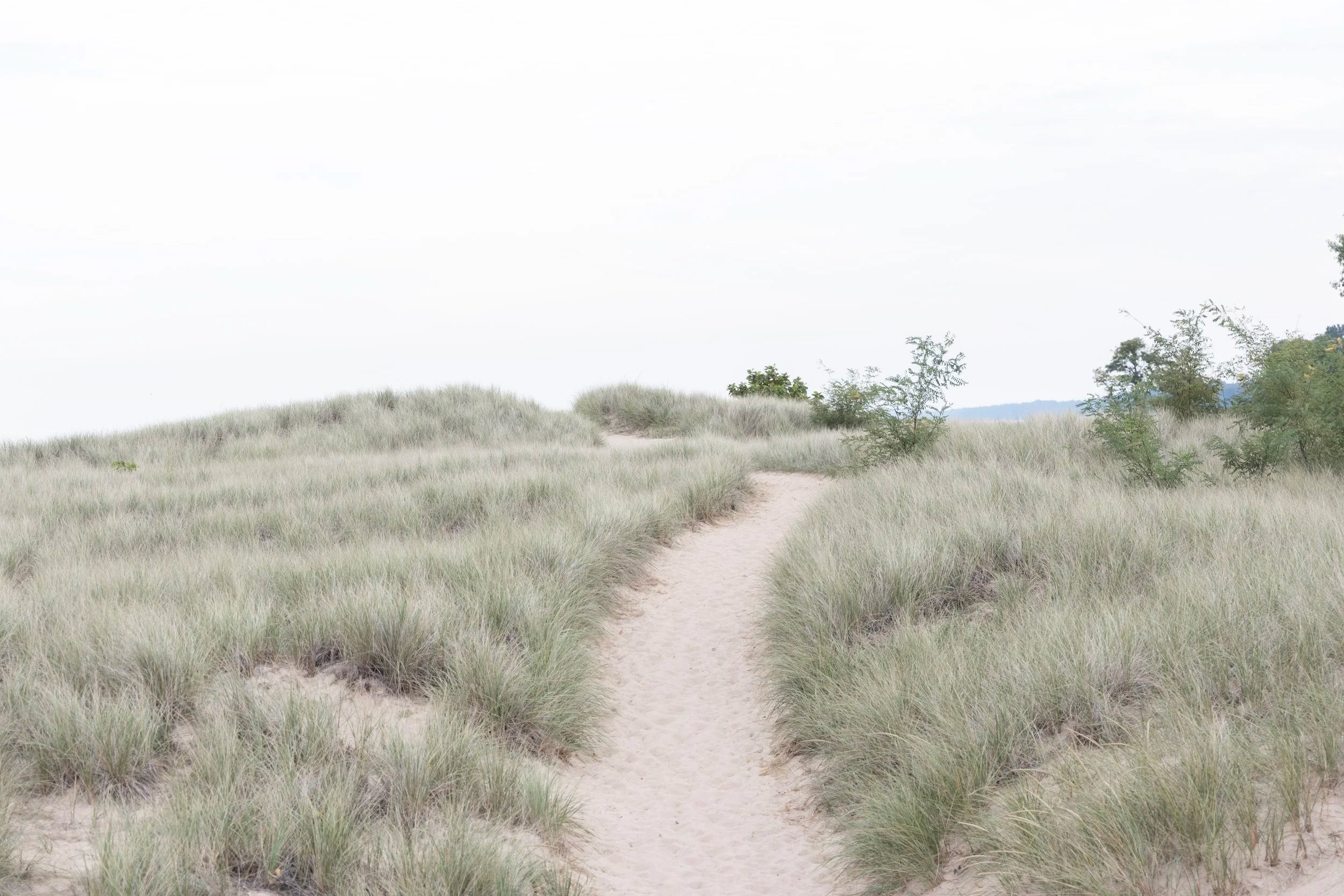 Dune Path Horizontal