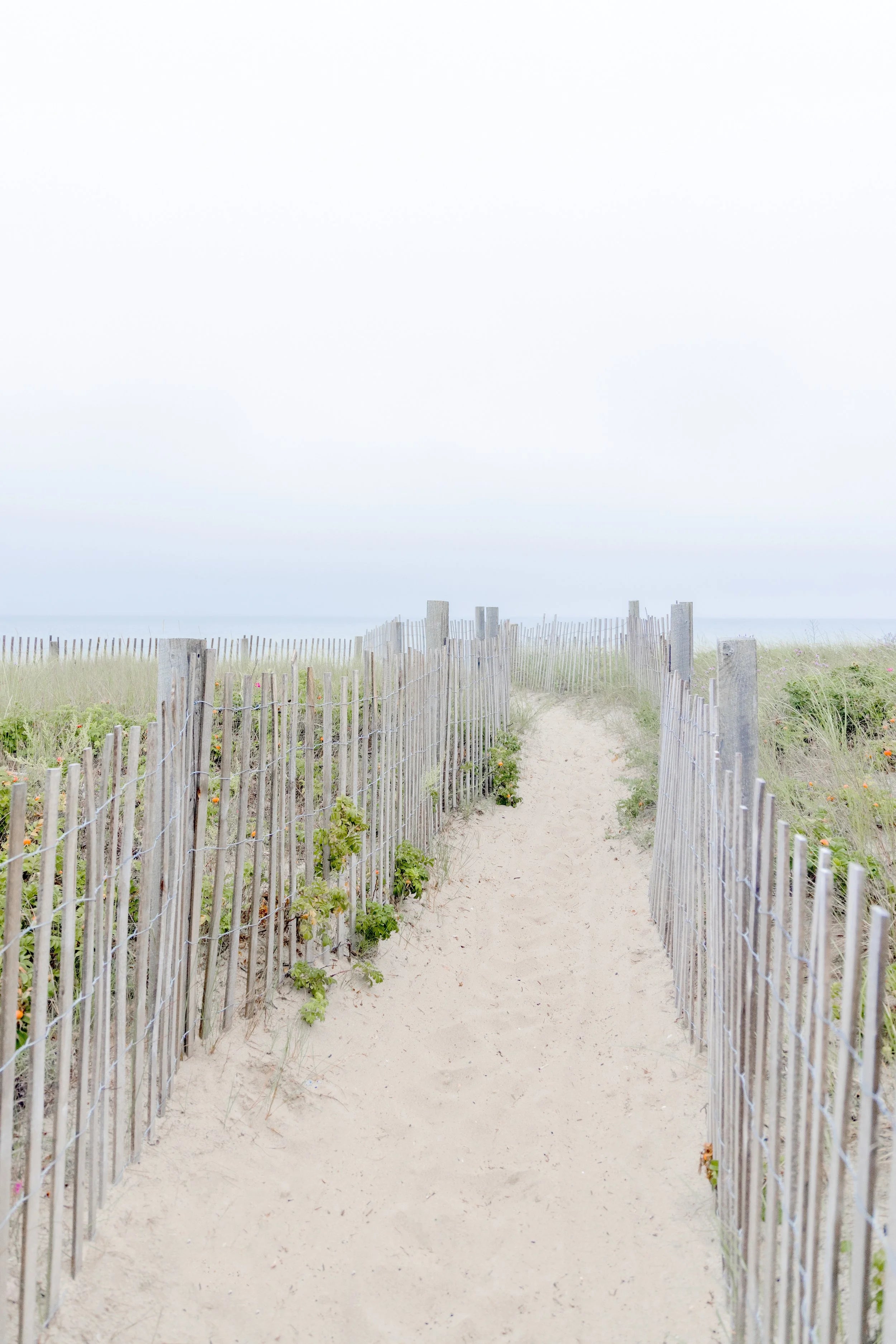 Dune Path Nantucket