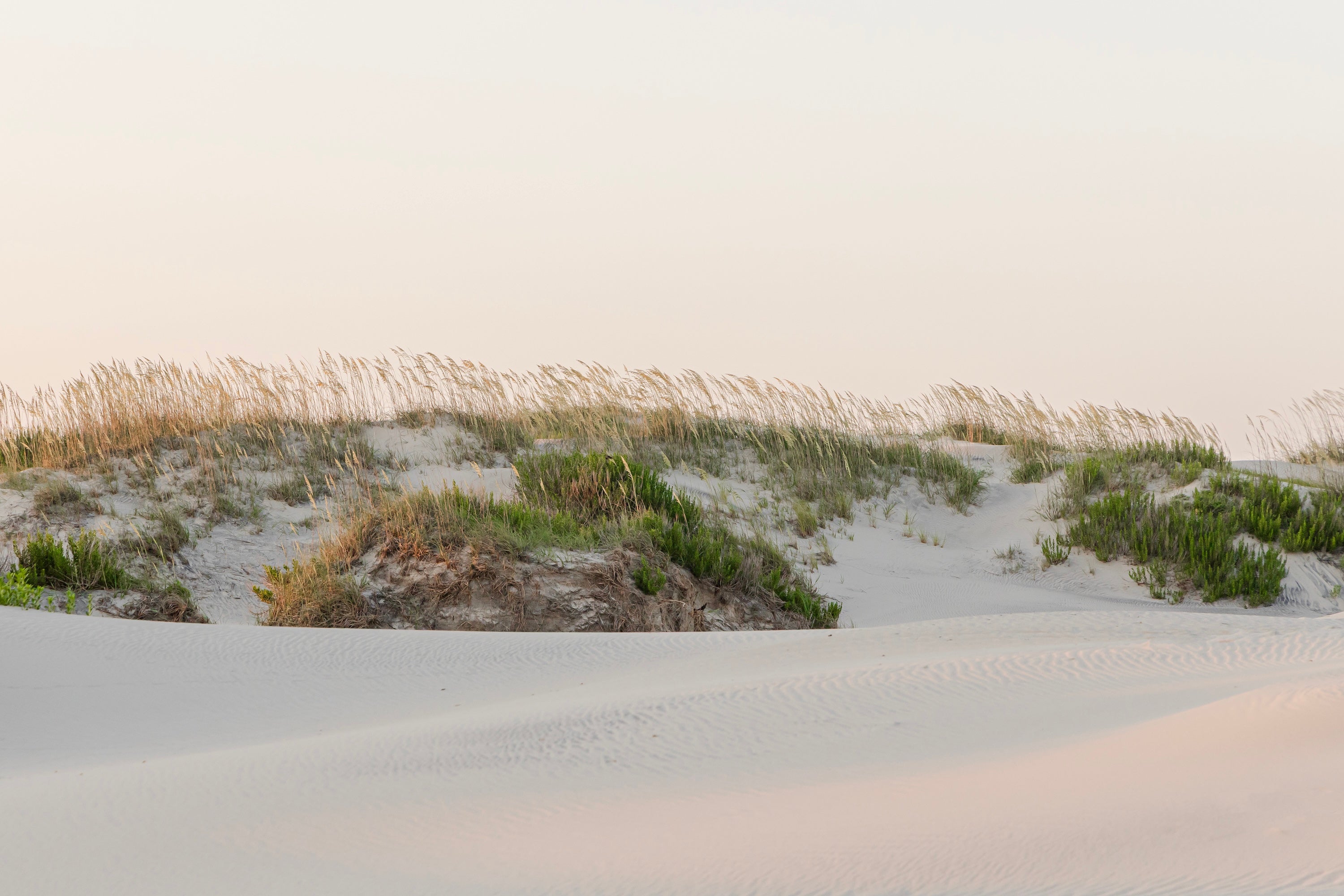 Dune Song