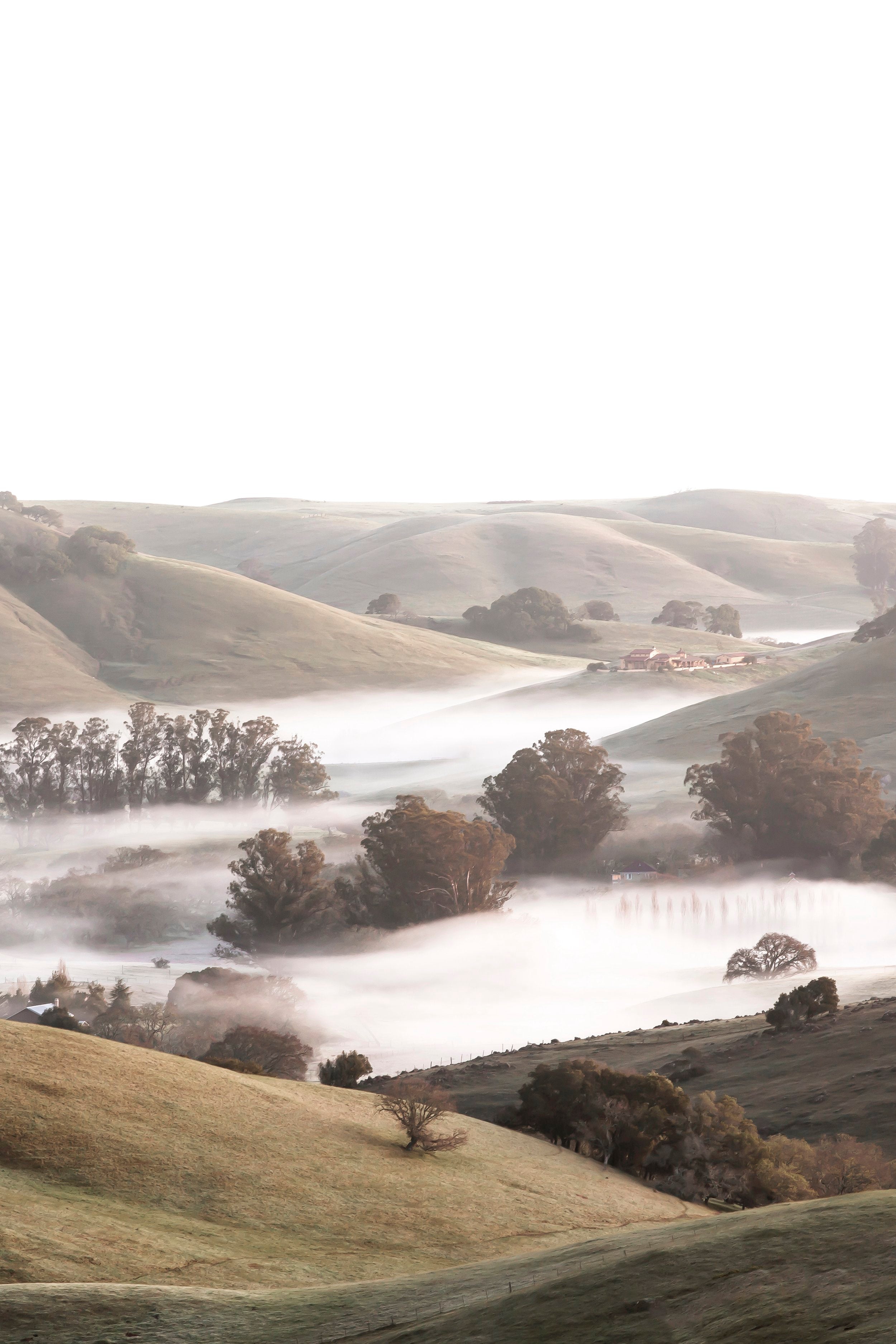 Foggy Hills Sonoma