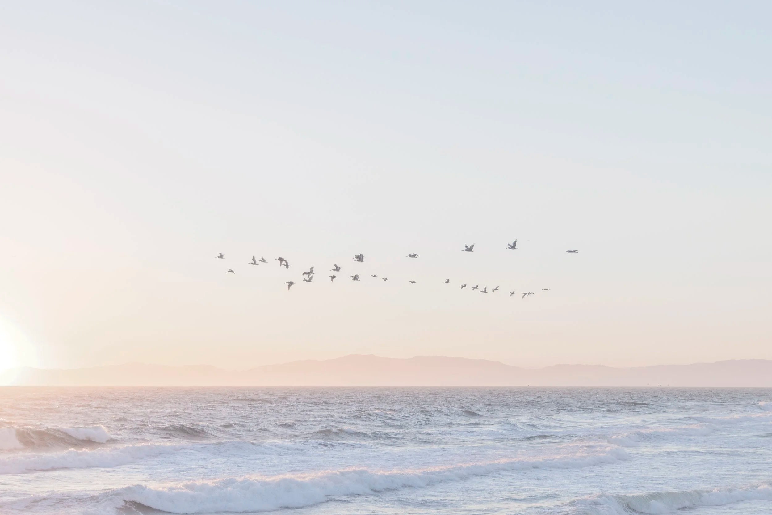 Freedom