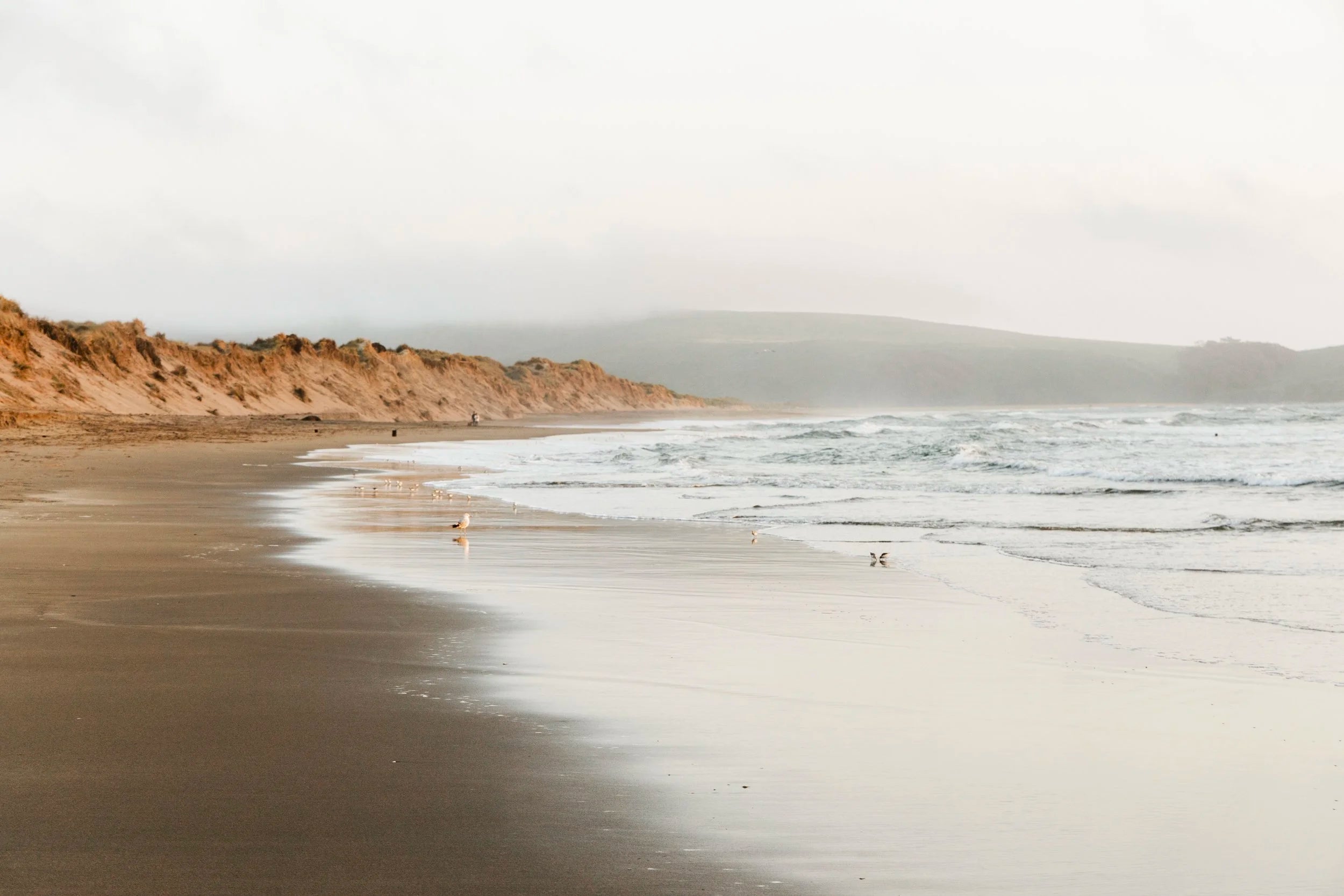 Golden Hour at Dillon Beach