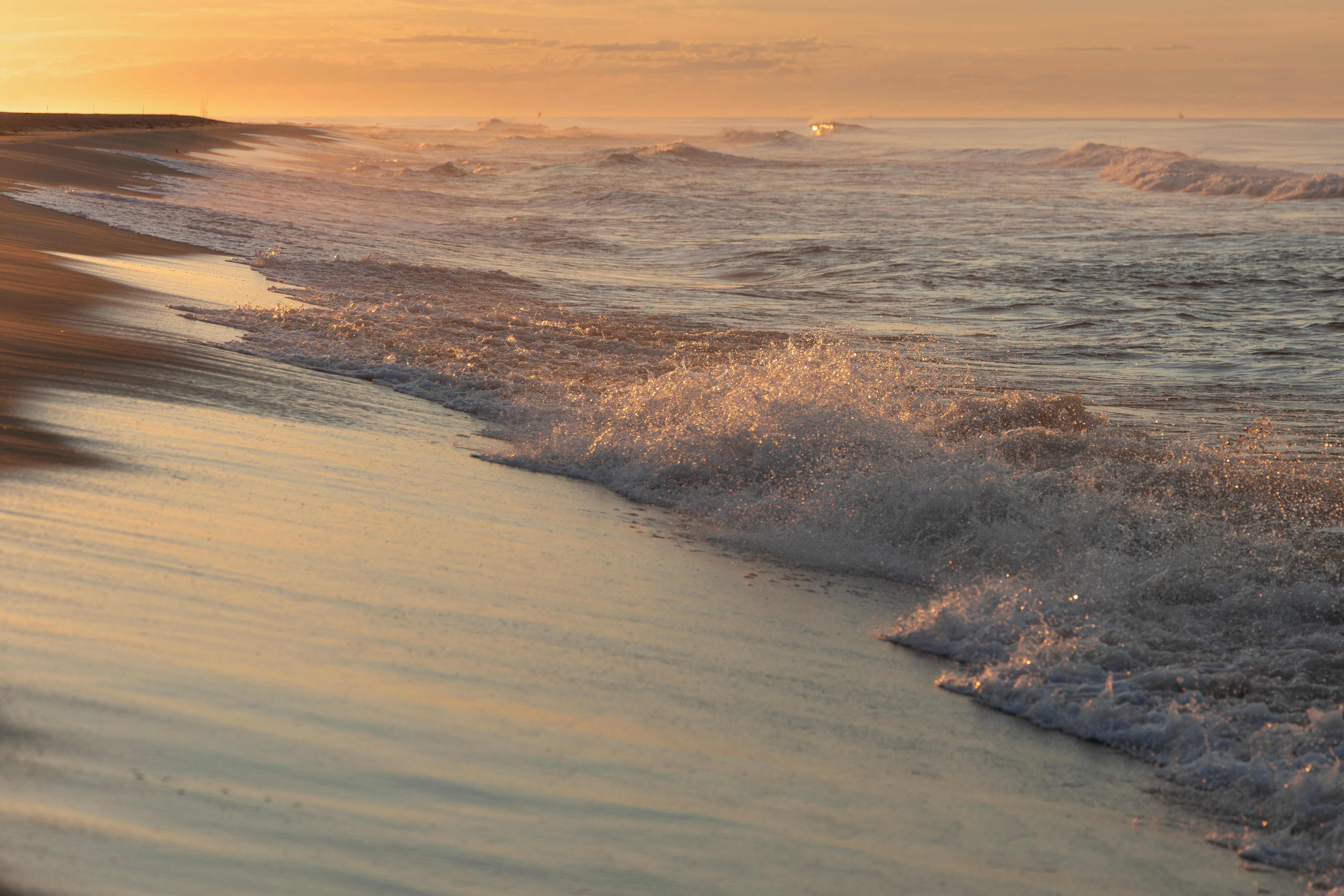 Hamptons Gold
