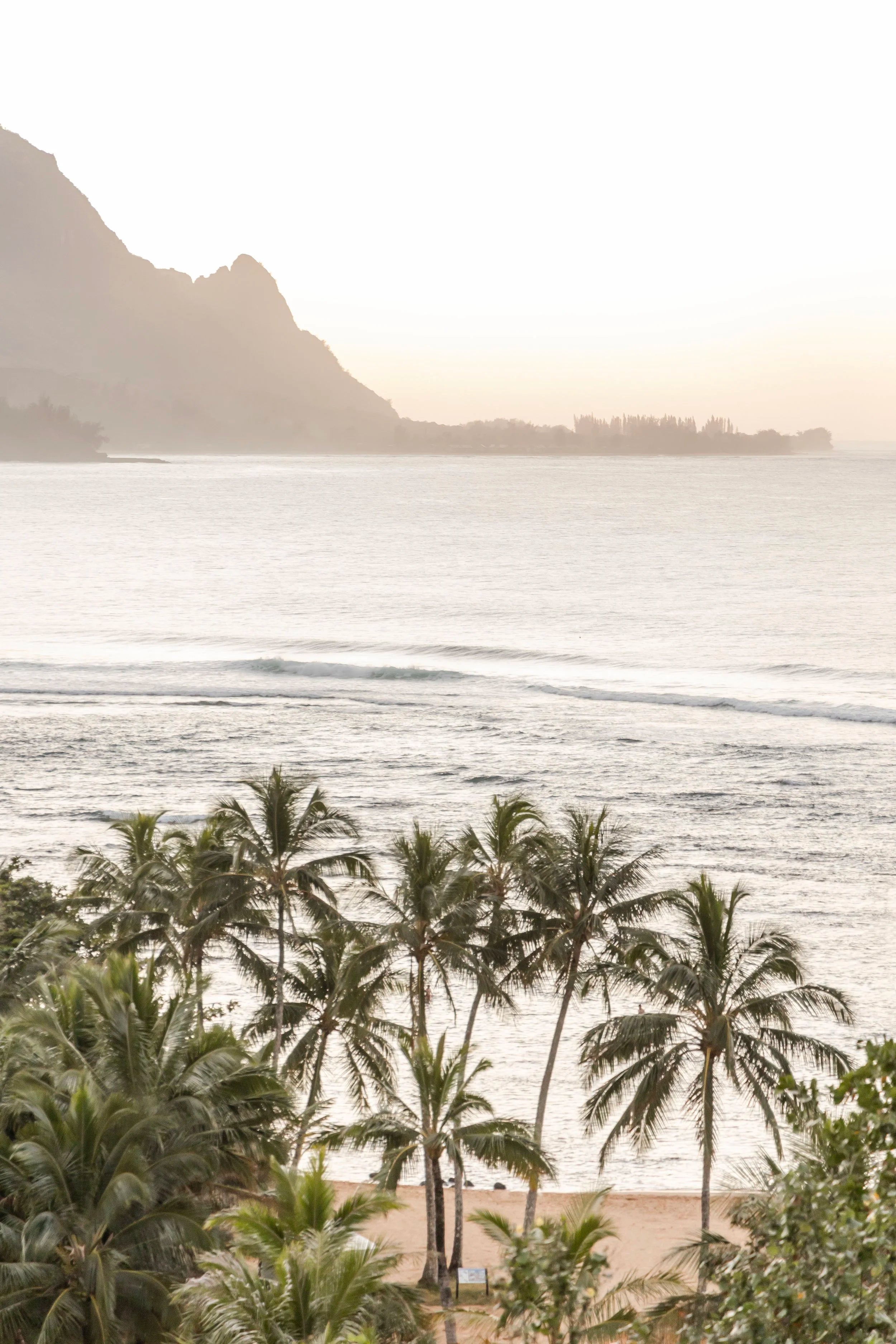 Hanalei Point