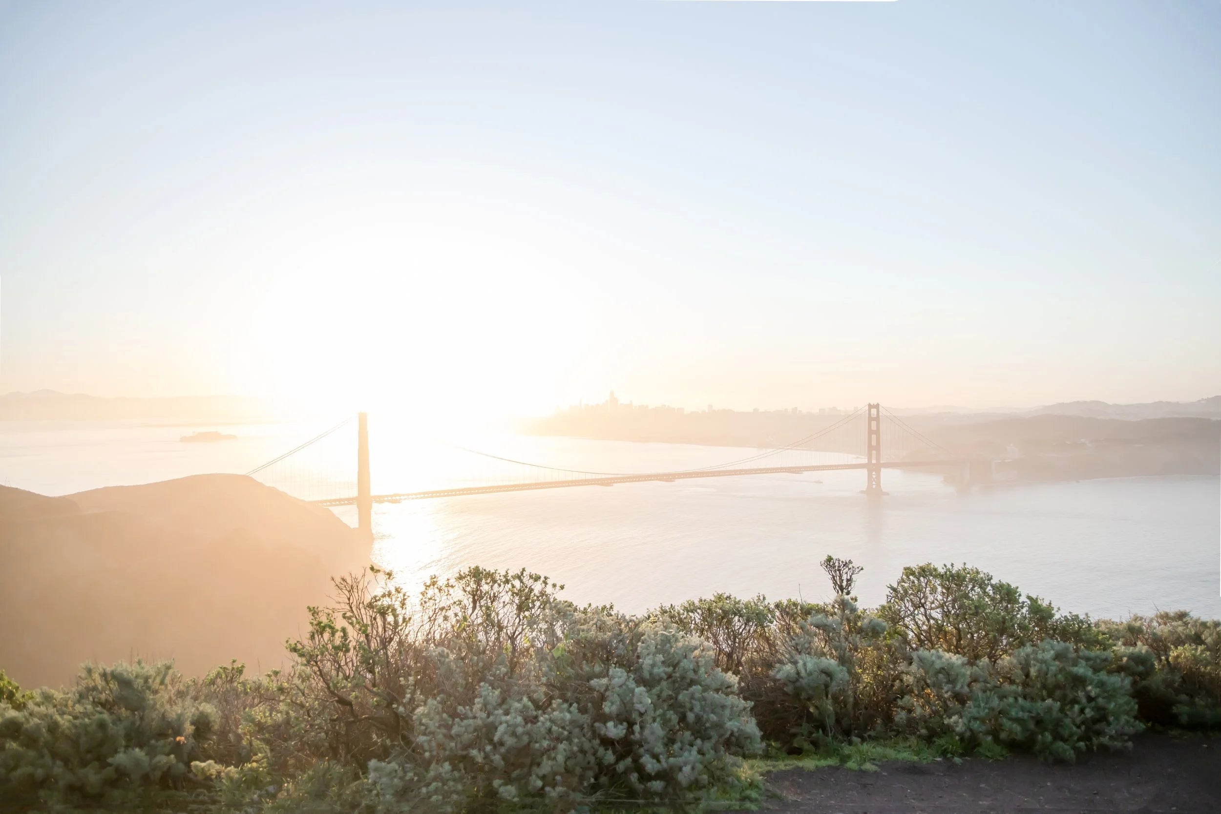 Hawk Hill