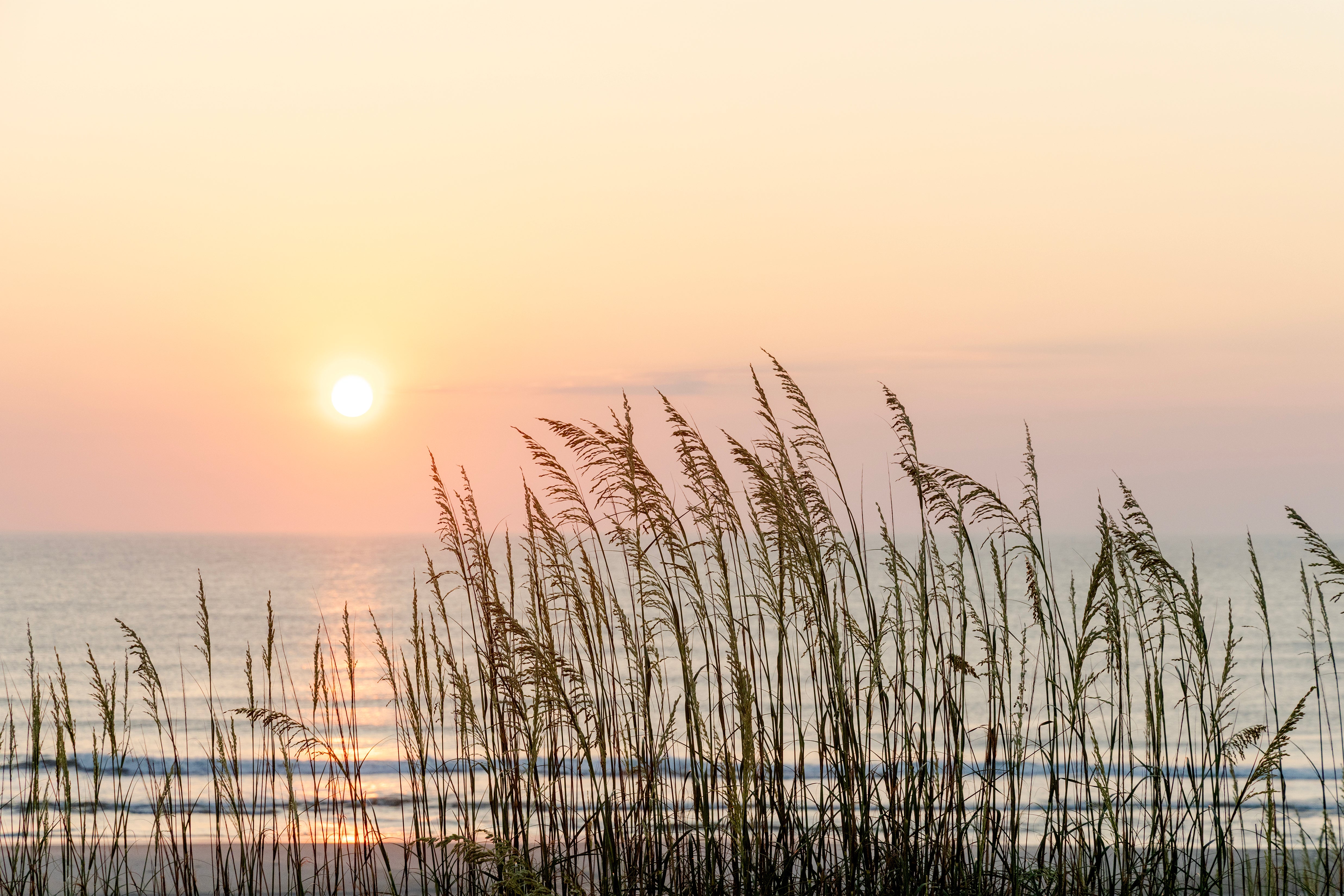 Hope At Dawn