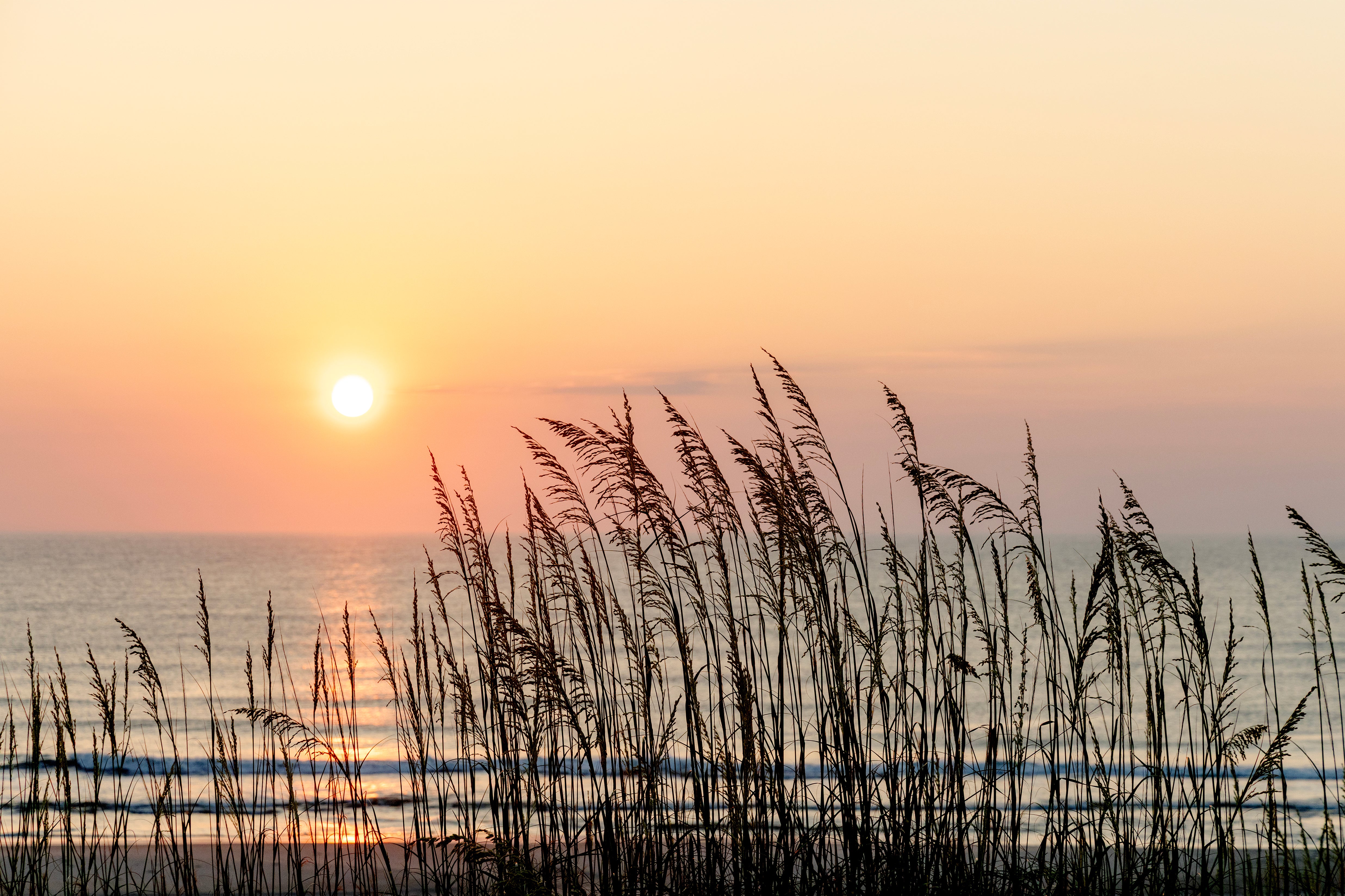 Hope At Dawn