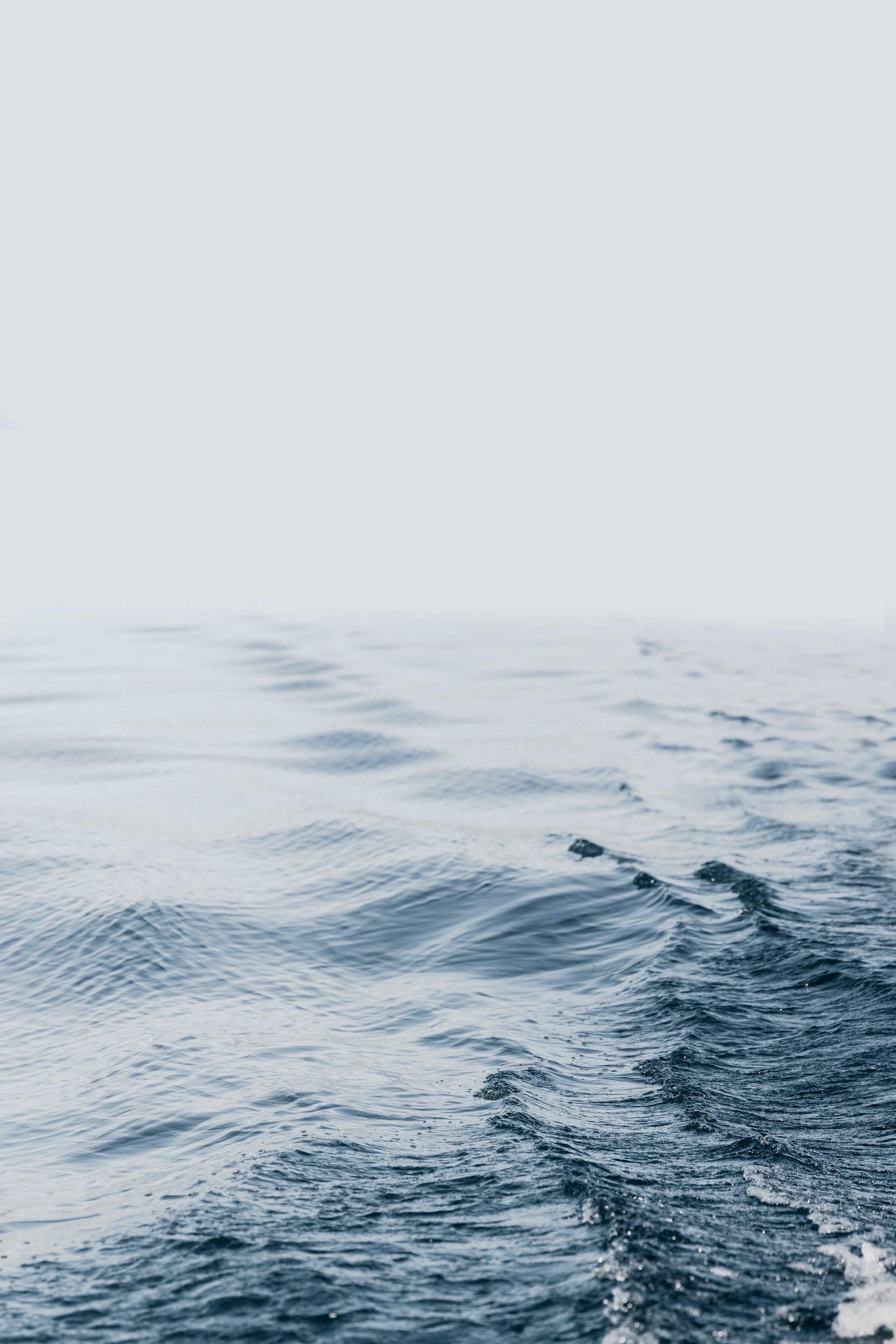 In The Wake Diptych 2