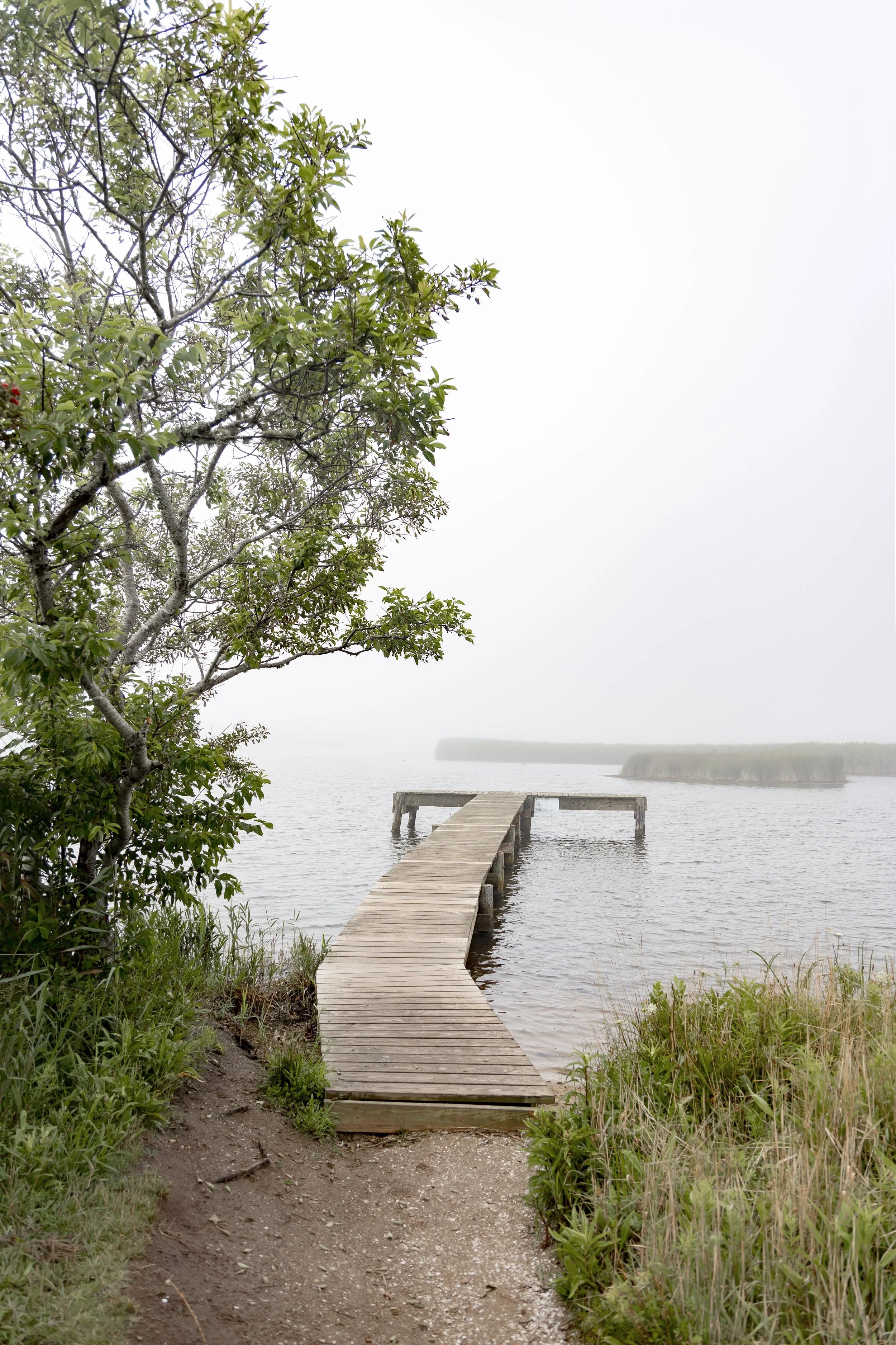 Long Pond Madaket