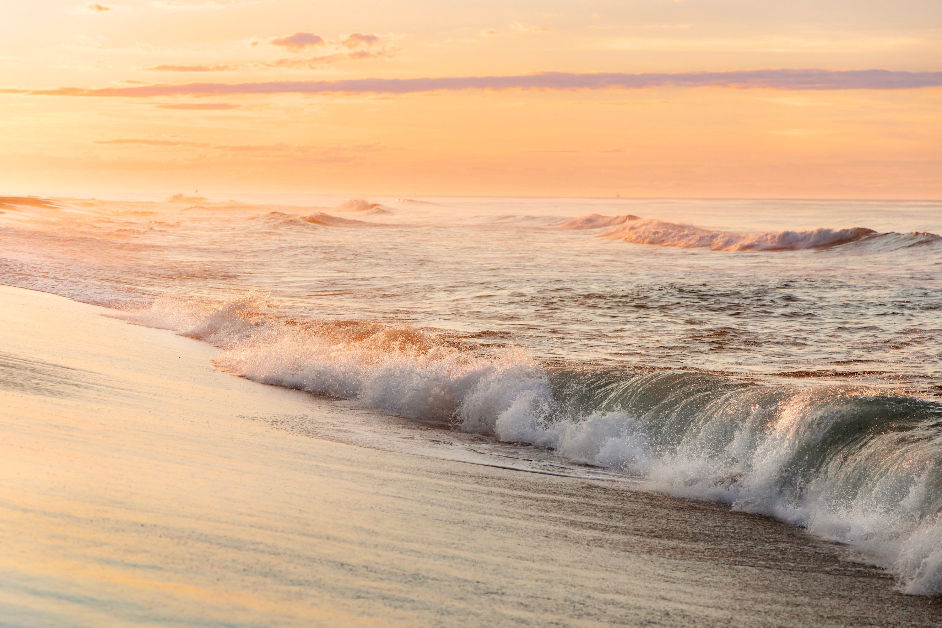 Meadow Lane Beach Waves