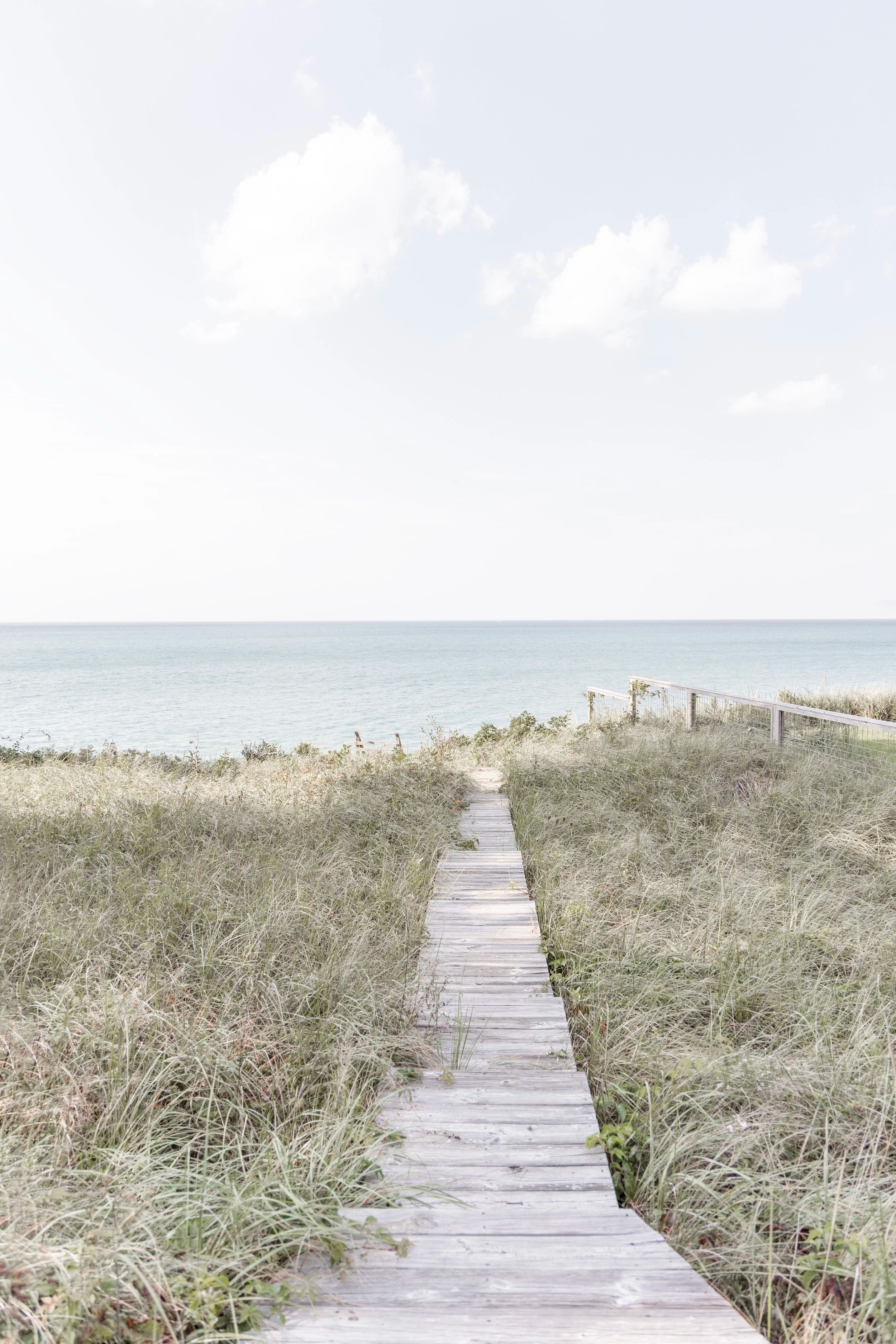 Wooden Path - Vertical