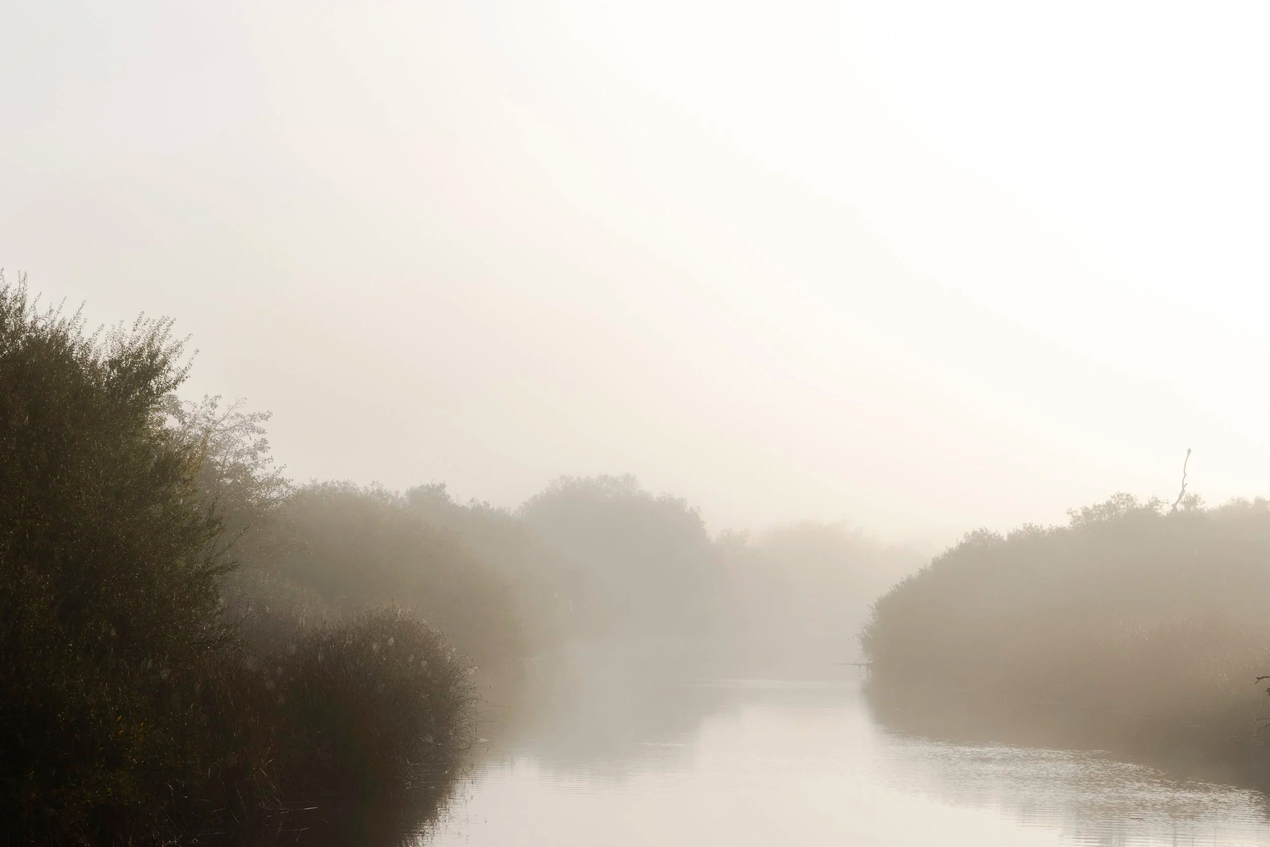 Misty Inverness Morning