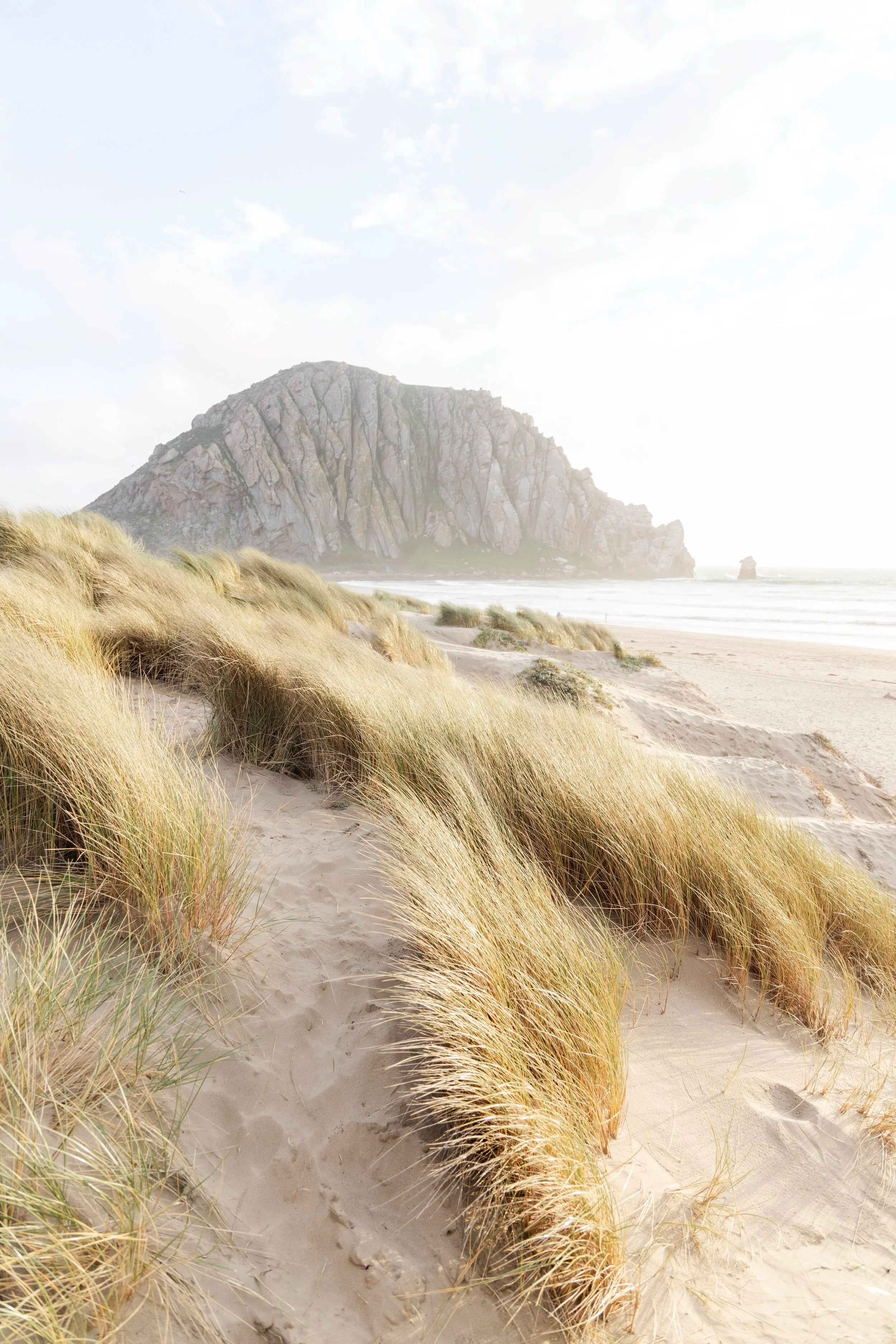 Morro Bay Bluffs