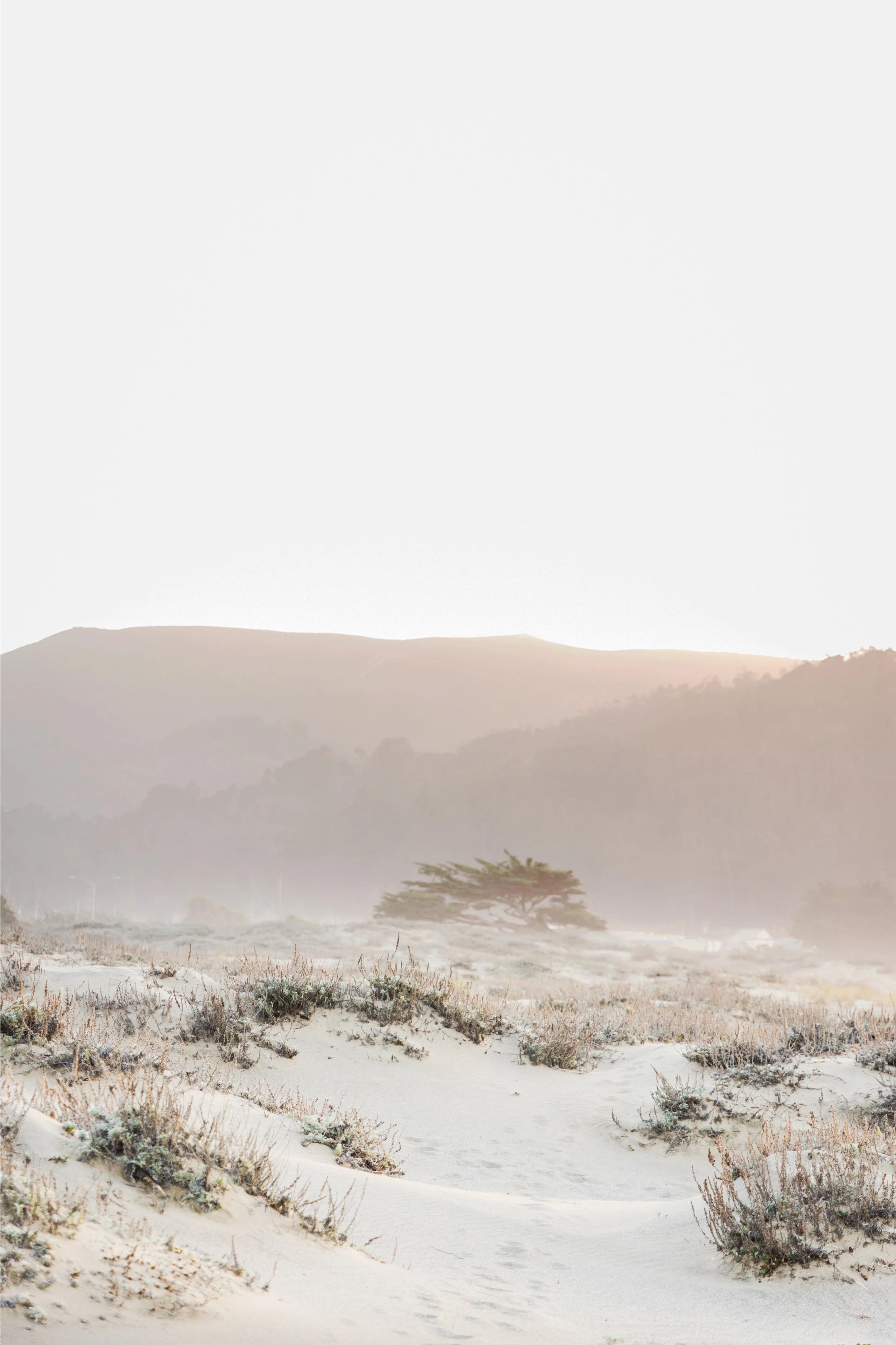 Ocean Mist