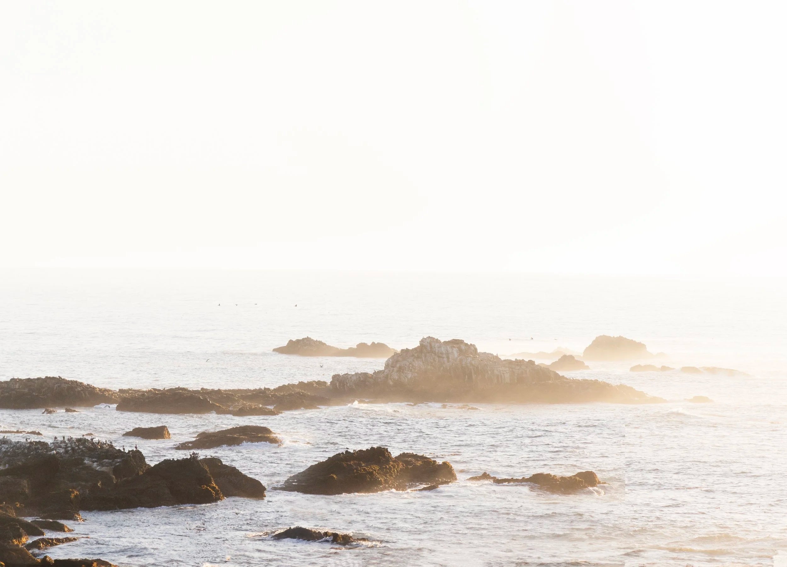 Oceanic Sunset