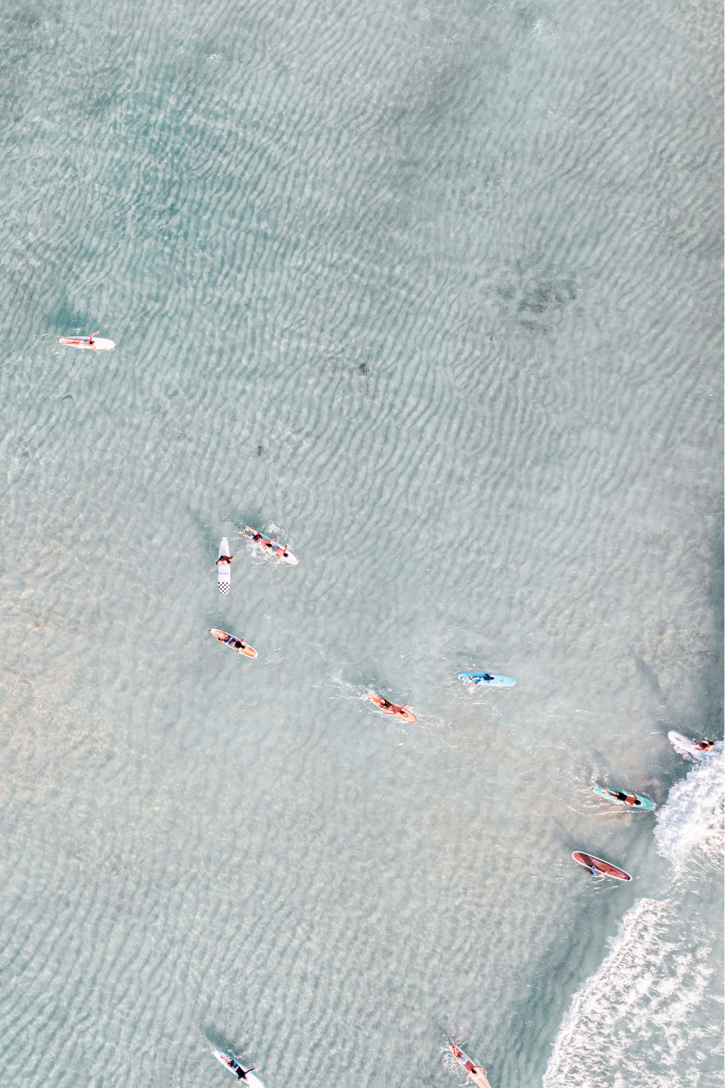 Paddle Races