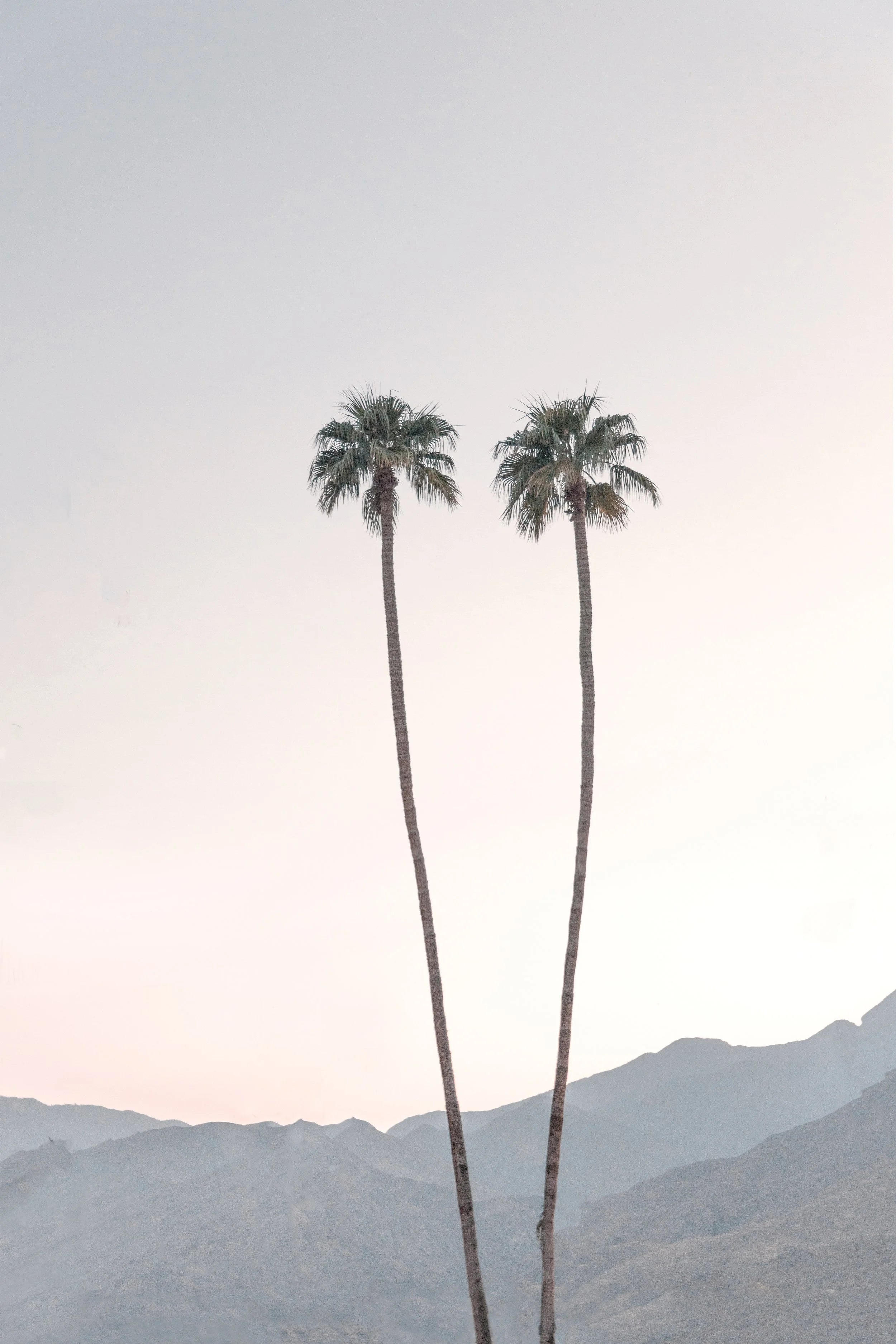 Palm Springs Twins