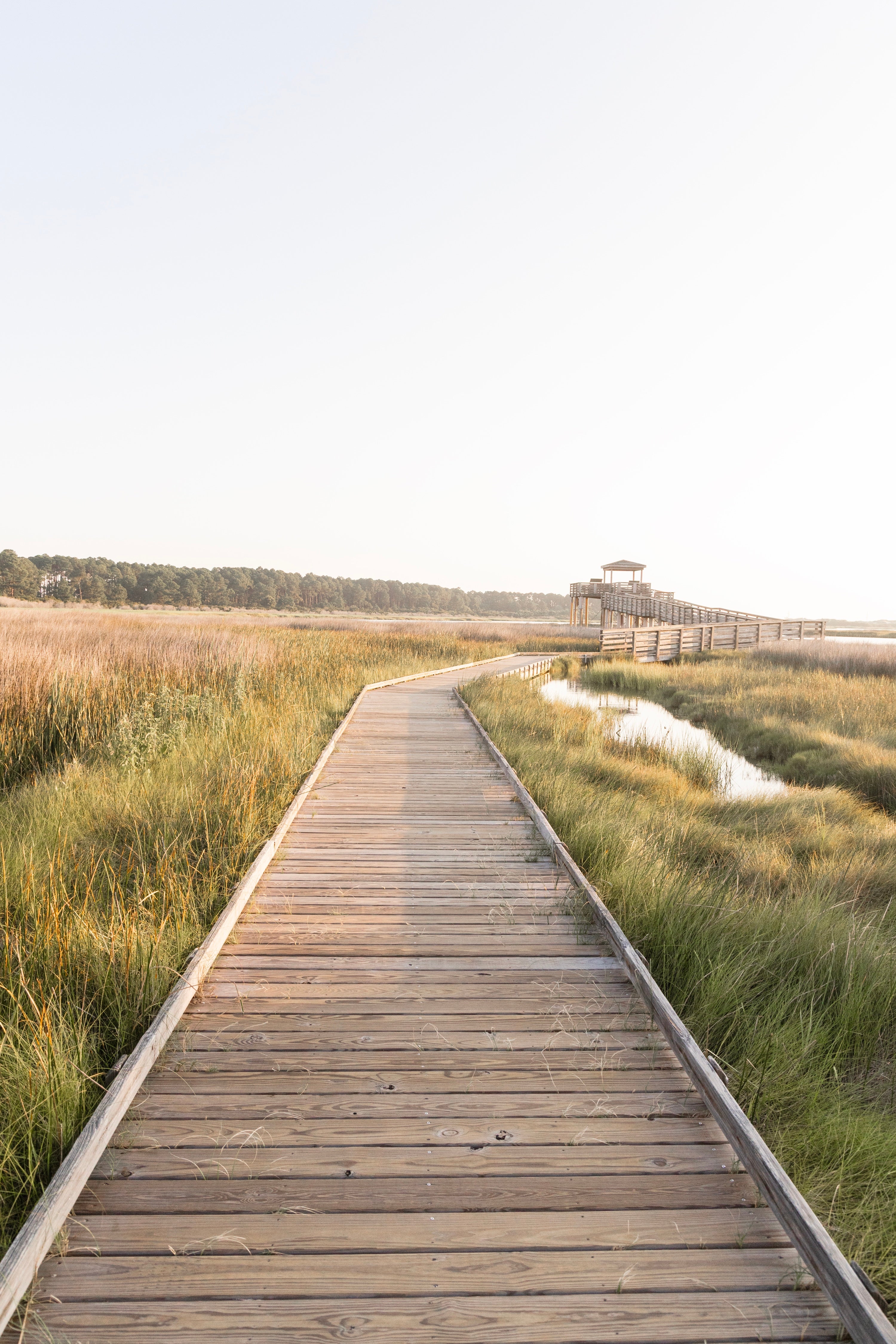 Path To The Marshlands