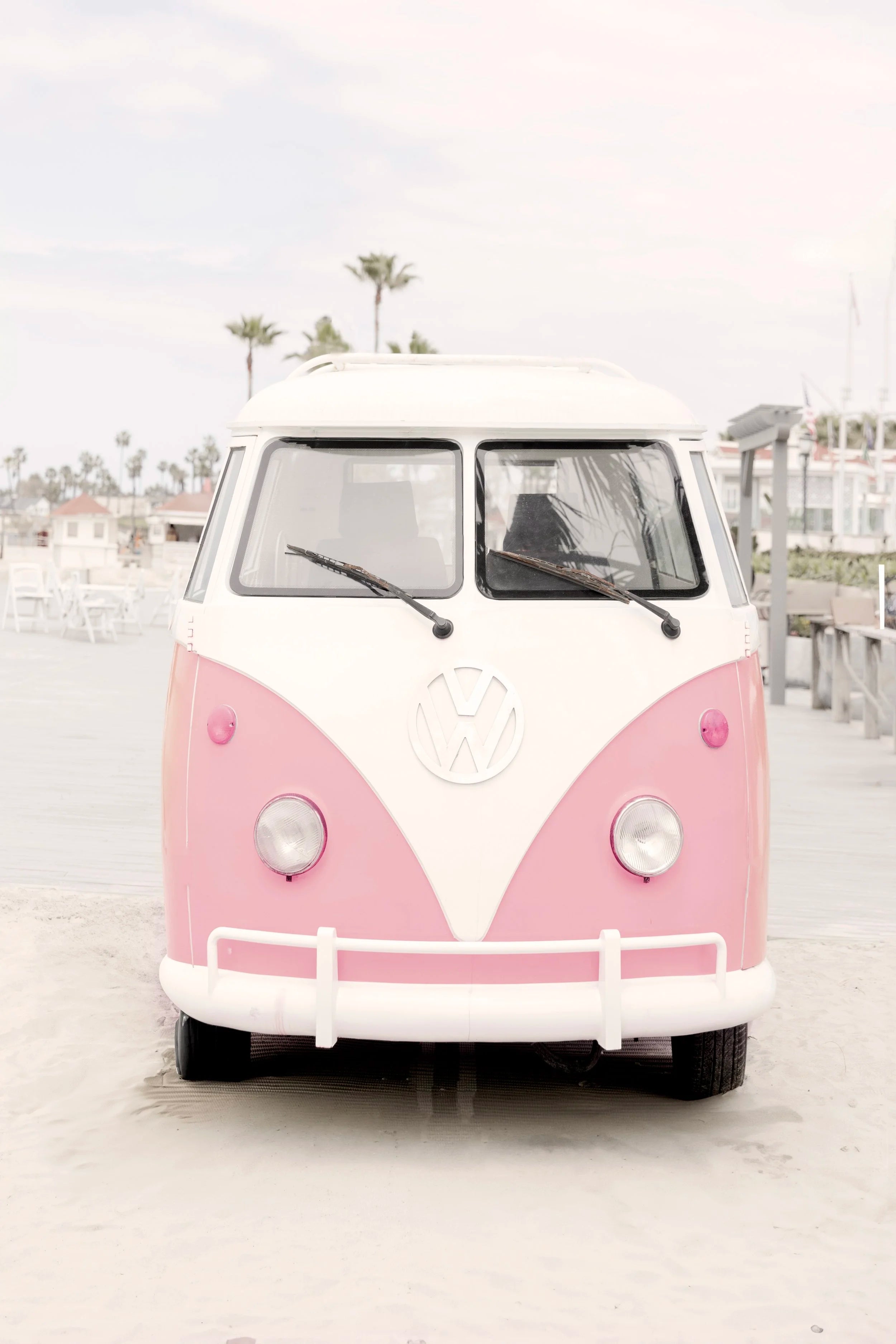 Pink Bug