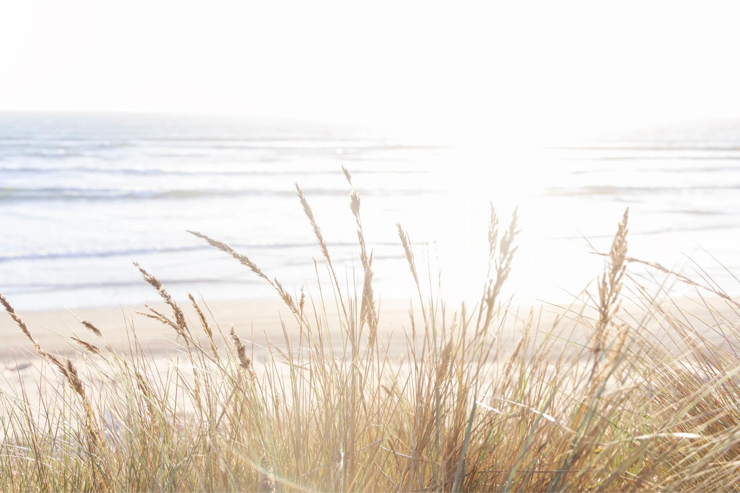 Pismo Beach Dunes