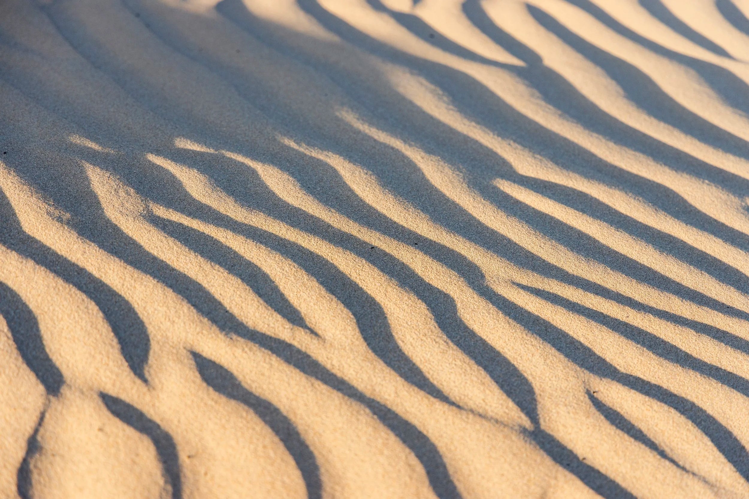 Sand Rhythms