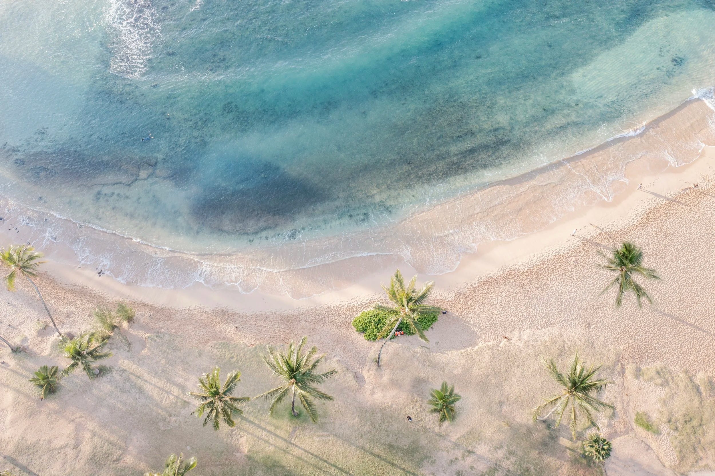 Poipu Palms and Beach