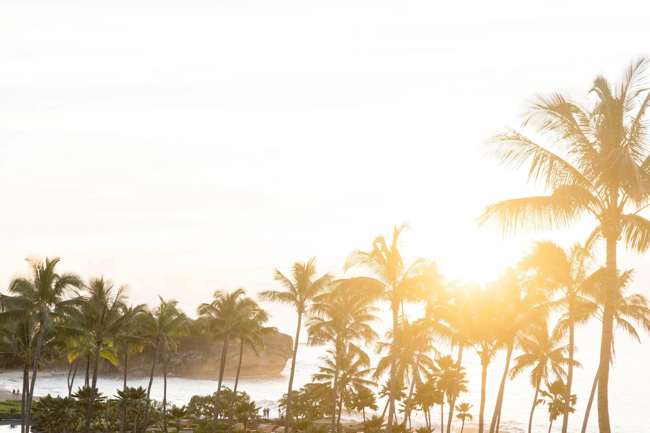 Poipu Palms