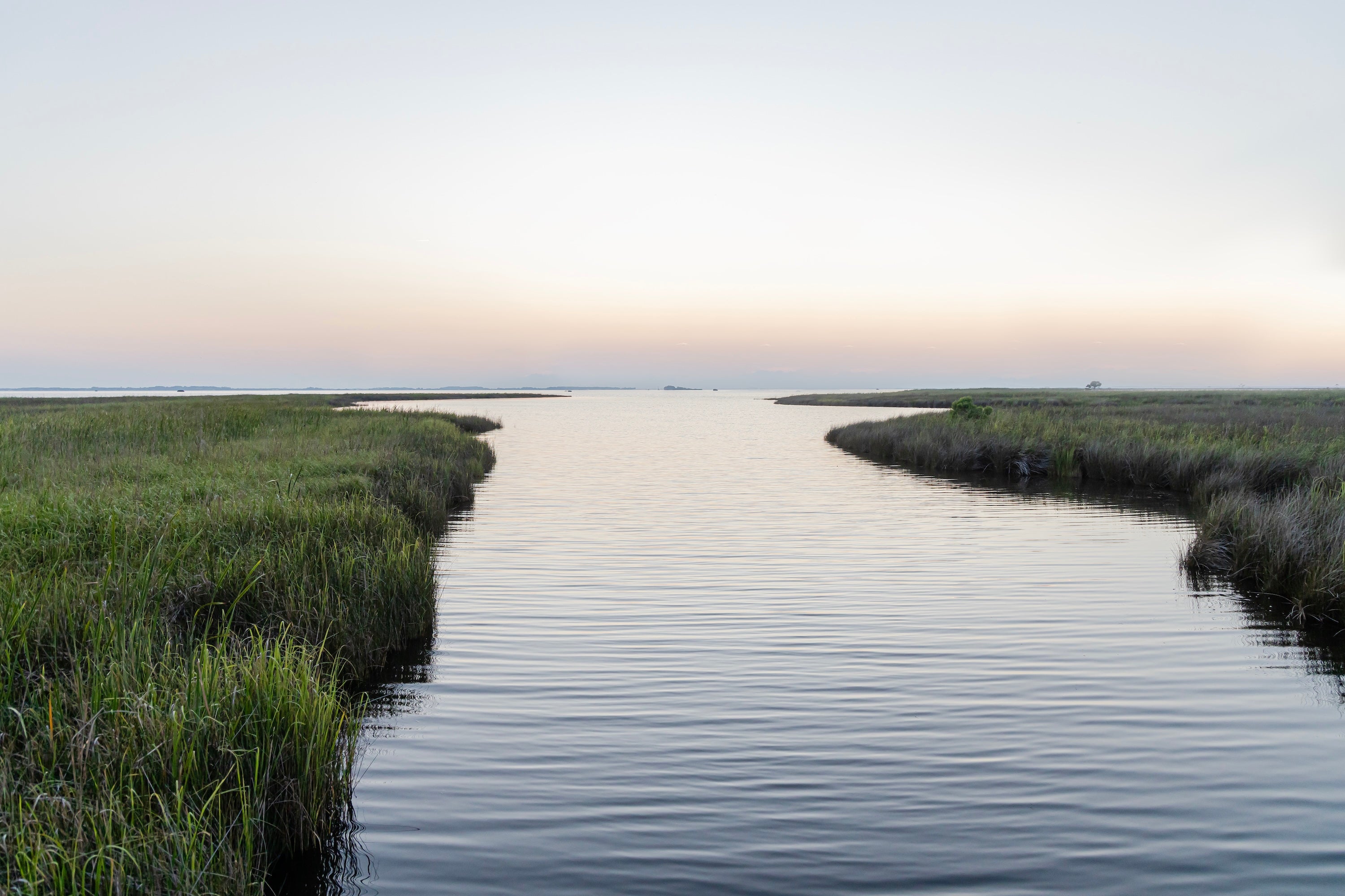 Quiet Marsh Stories