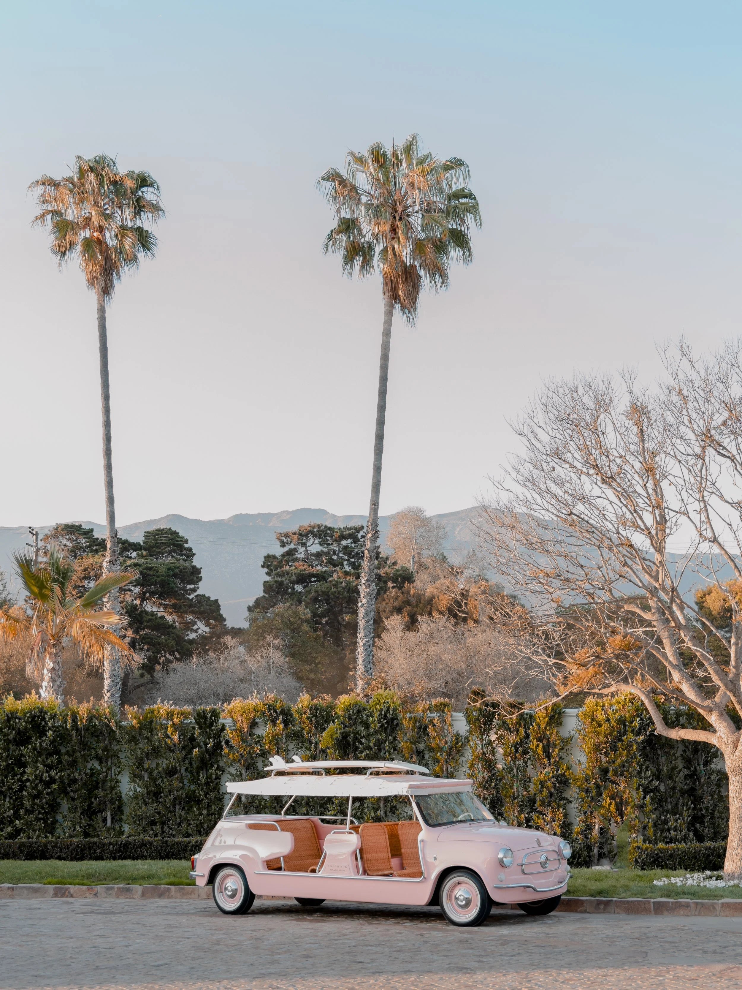 Rosewood Taxi