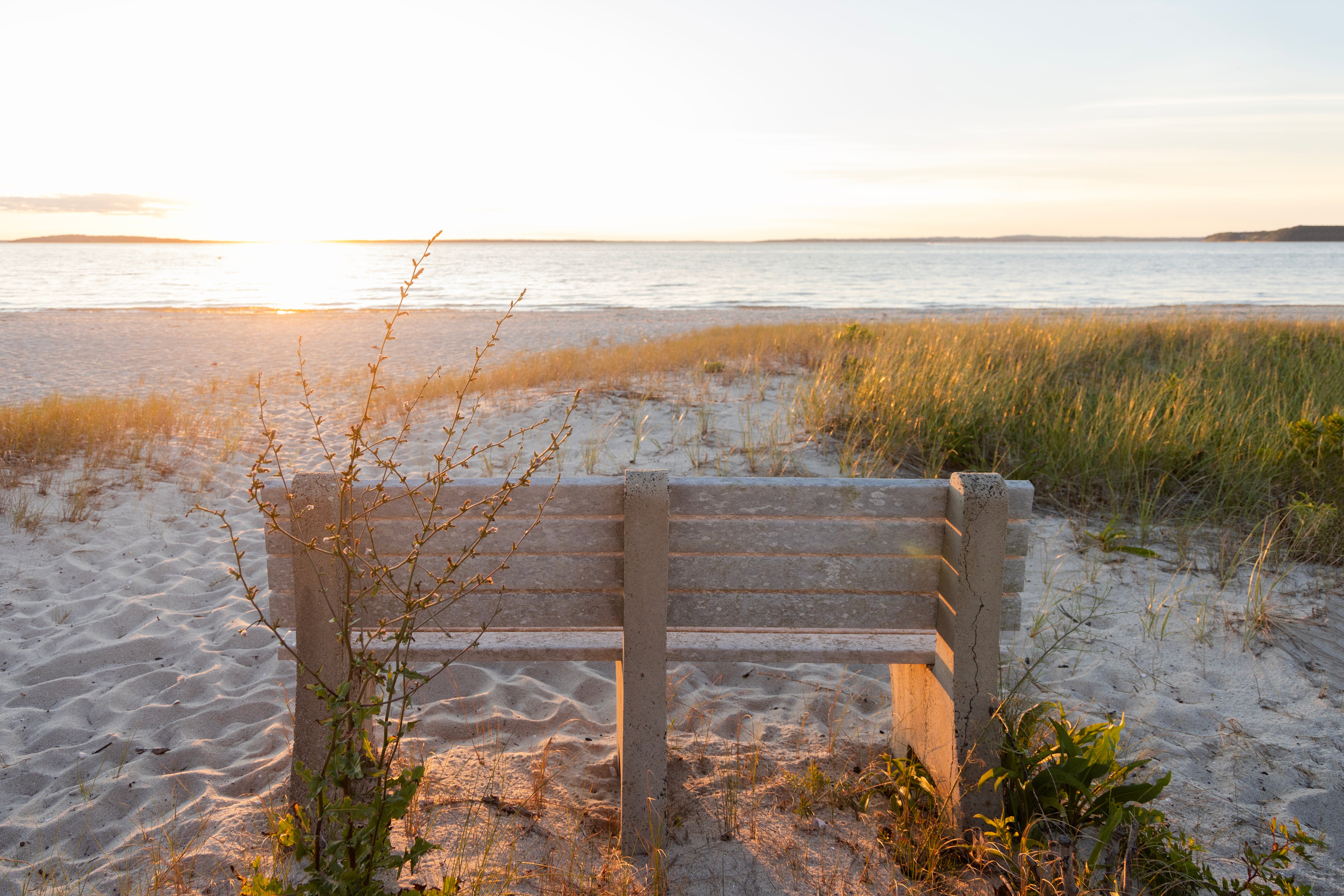 Sag Harbor Moments