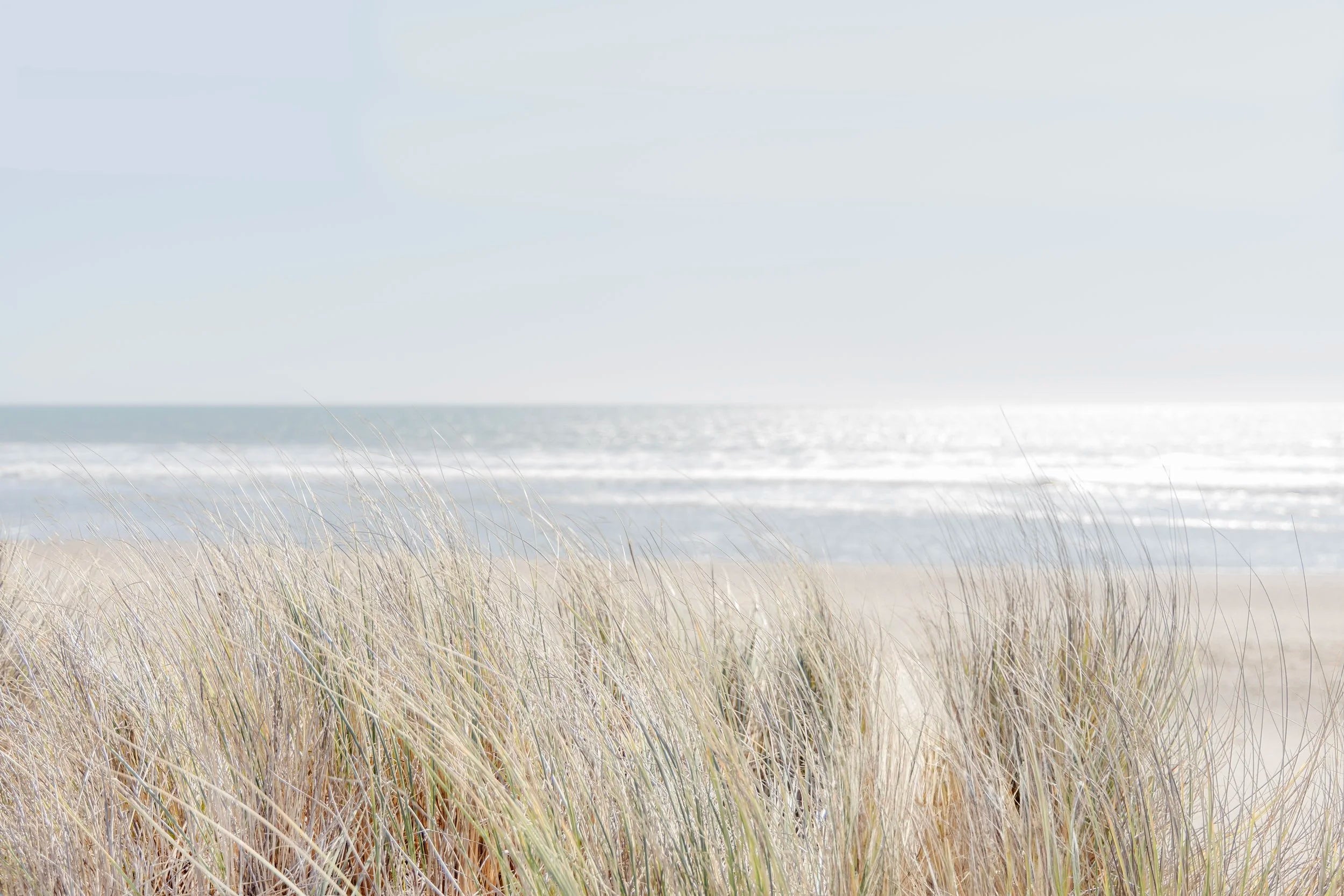 Seadrift Dunes