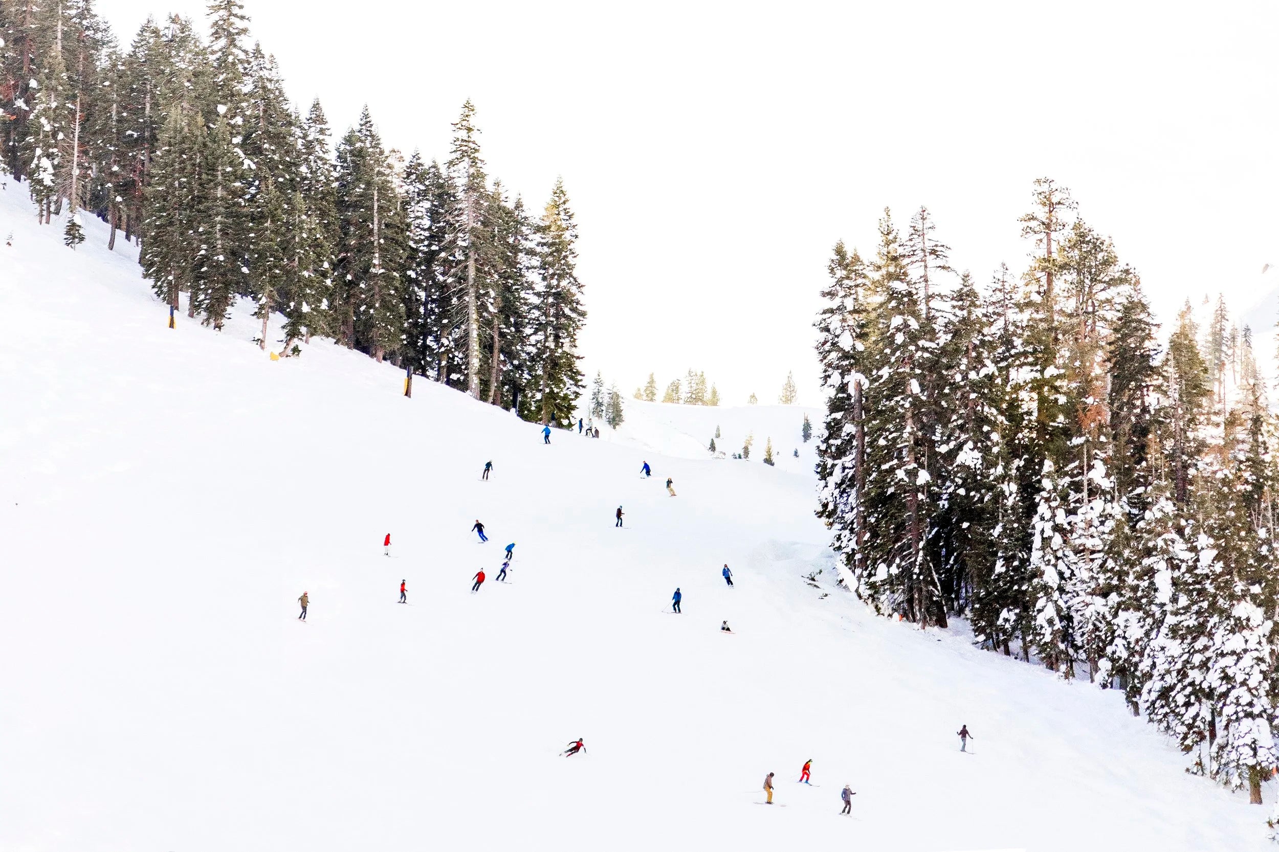 Ski Day